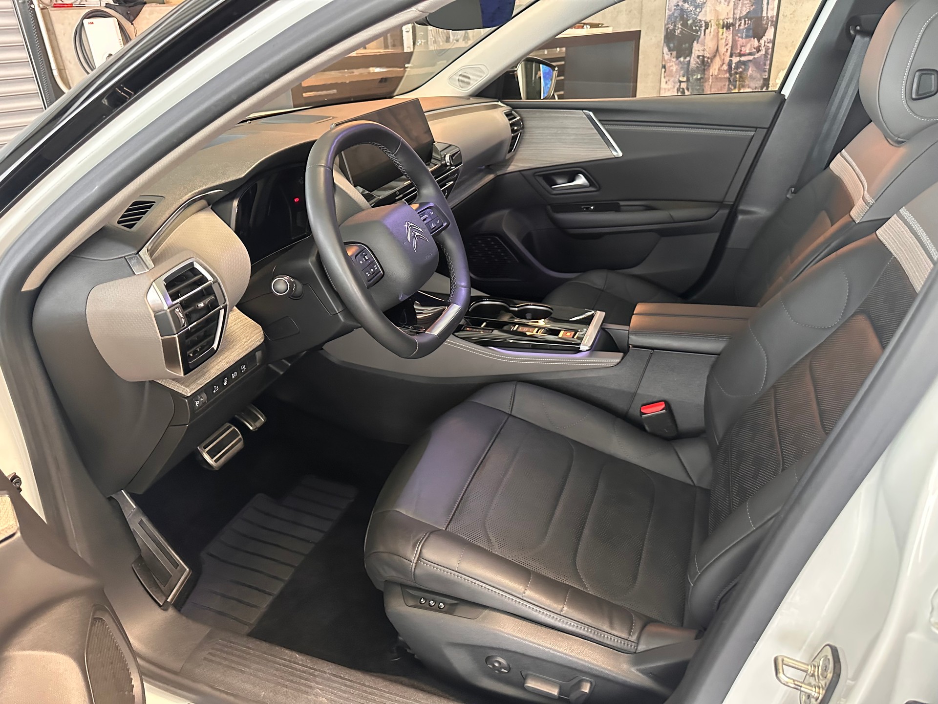 CITROEN C5 X 1.6 Plug-in Hybrid Shine Pack-image-9