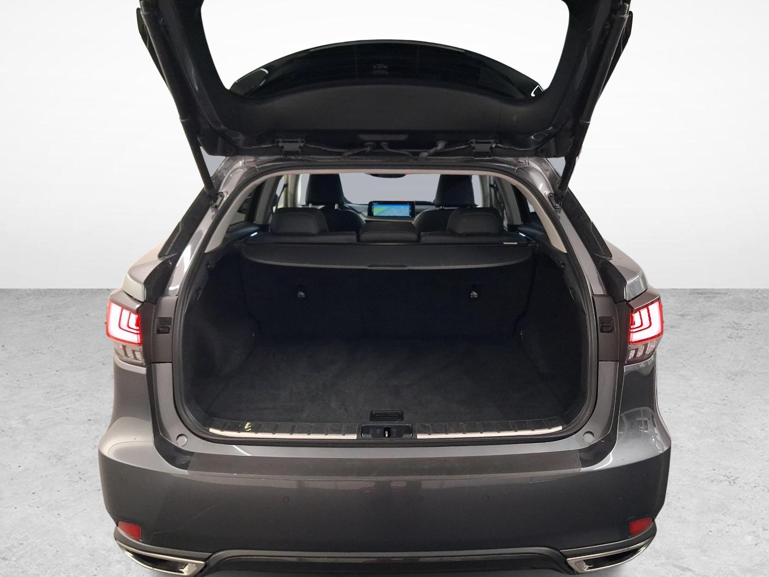 LEXUS RX 300 Special Edition-image-11
