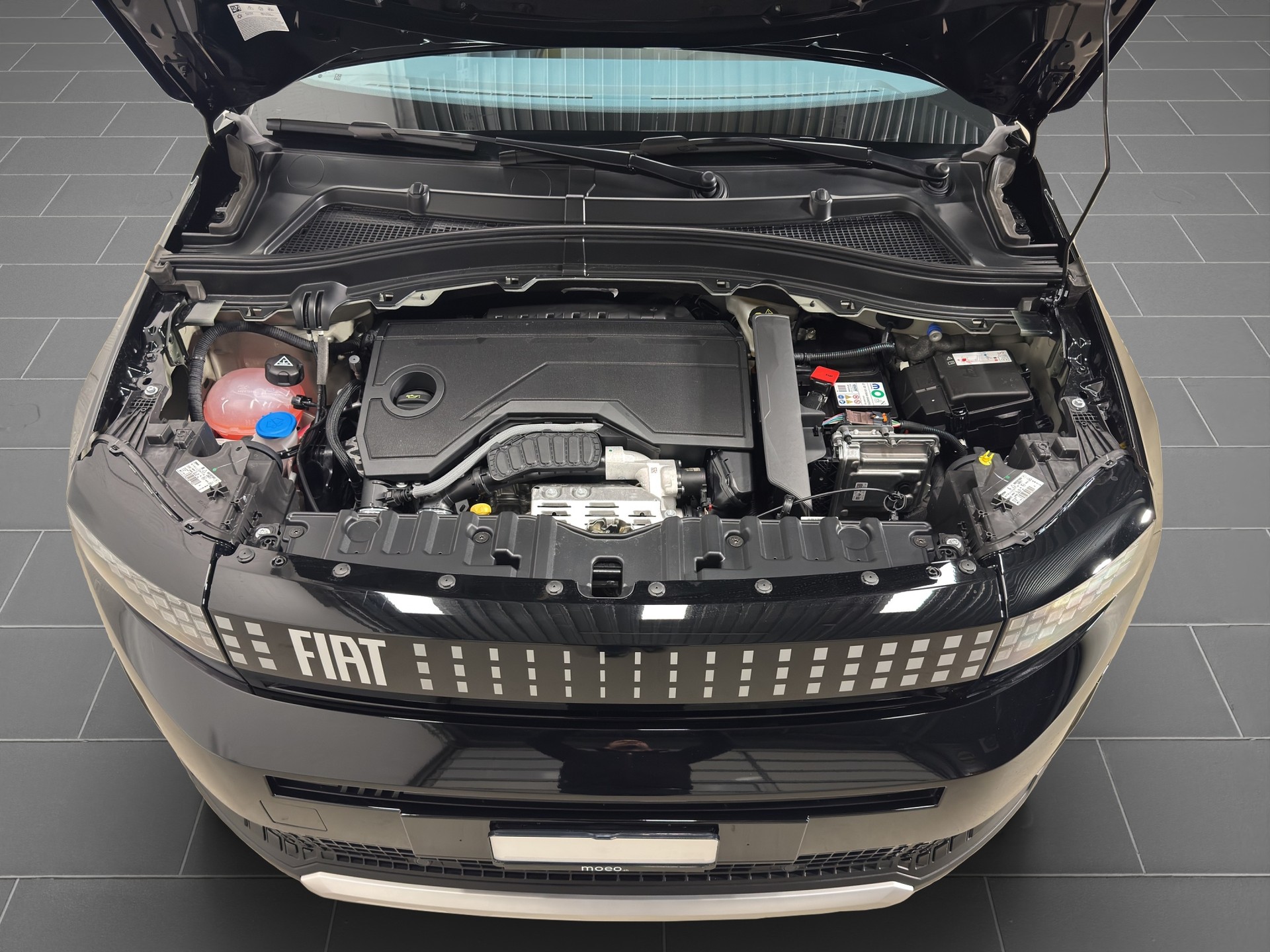 FIAT Grande Panda MHEV La Prima-image-19