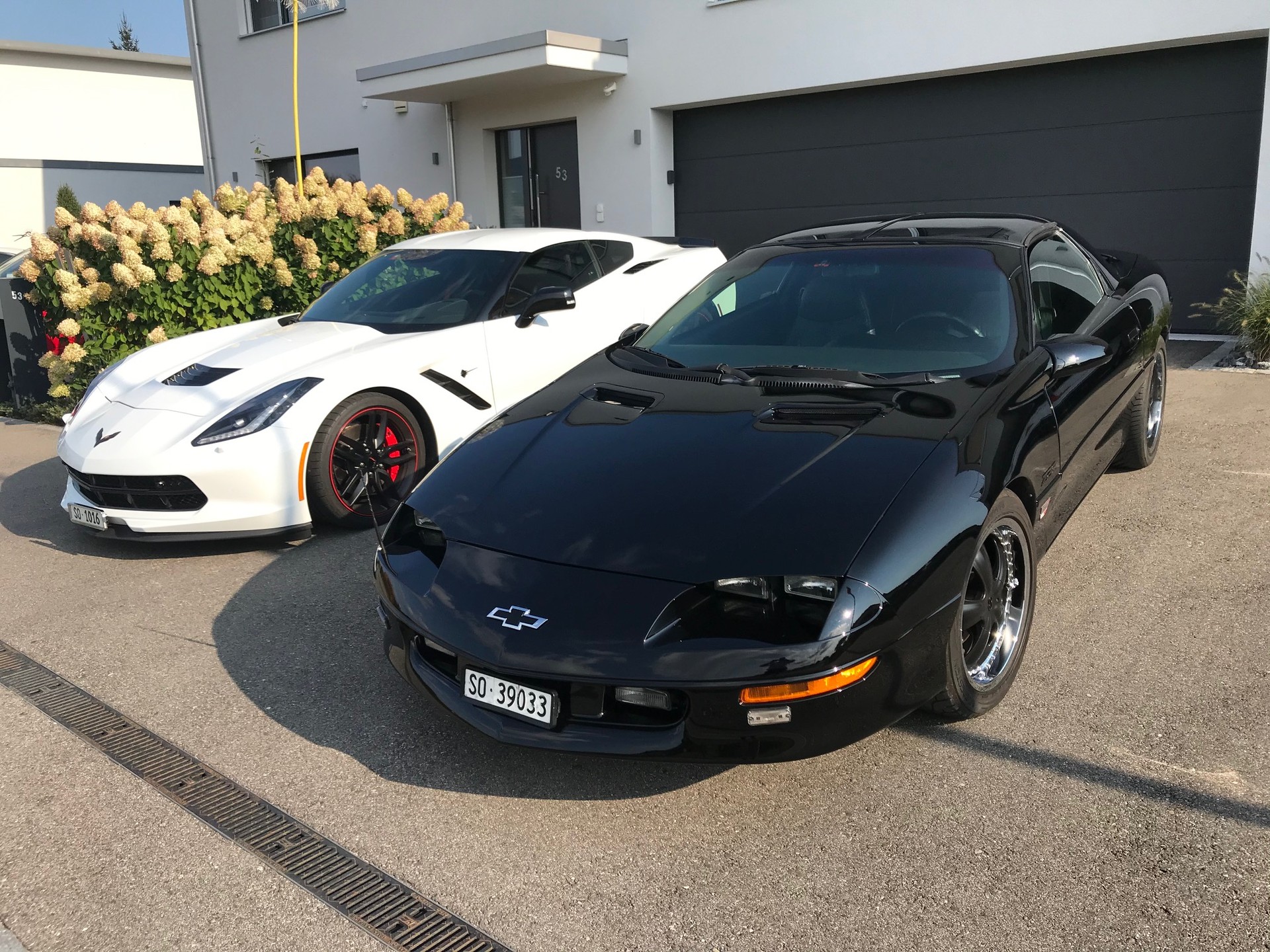 CHEVROLET Z-28 Targa "Dale Earnhardt"
