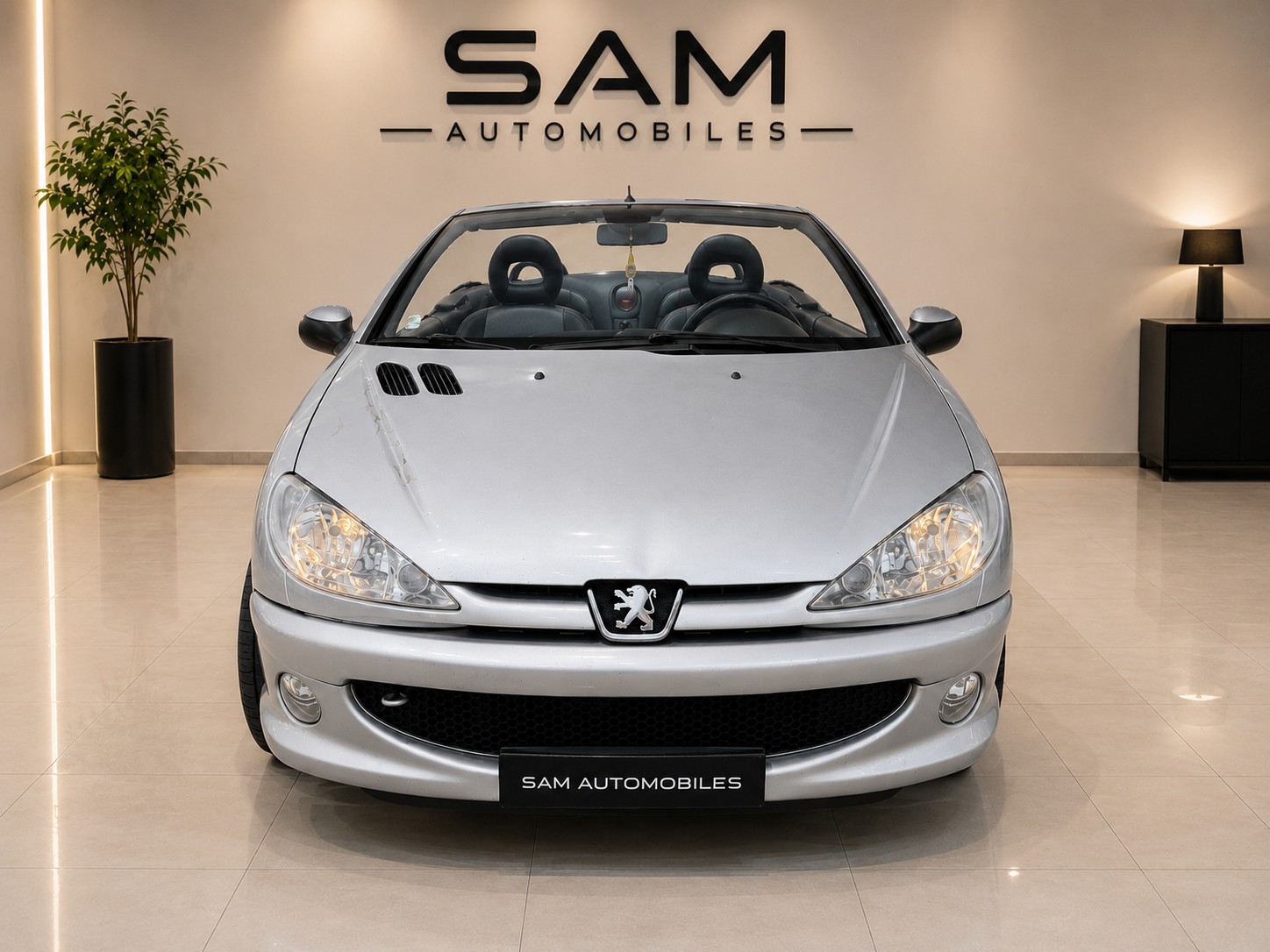 PEUGEOT 206 CC 2.0 16V-image-1