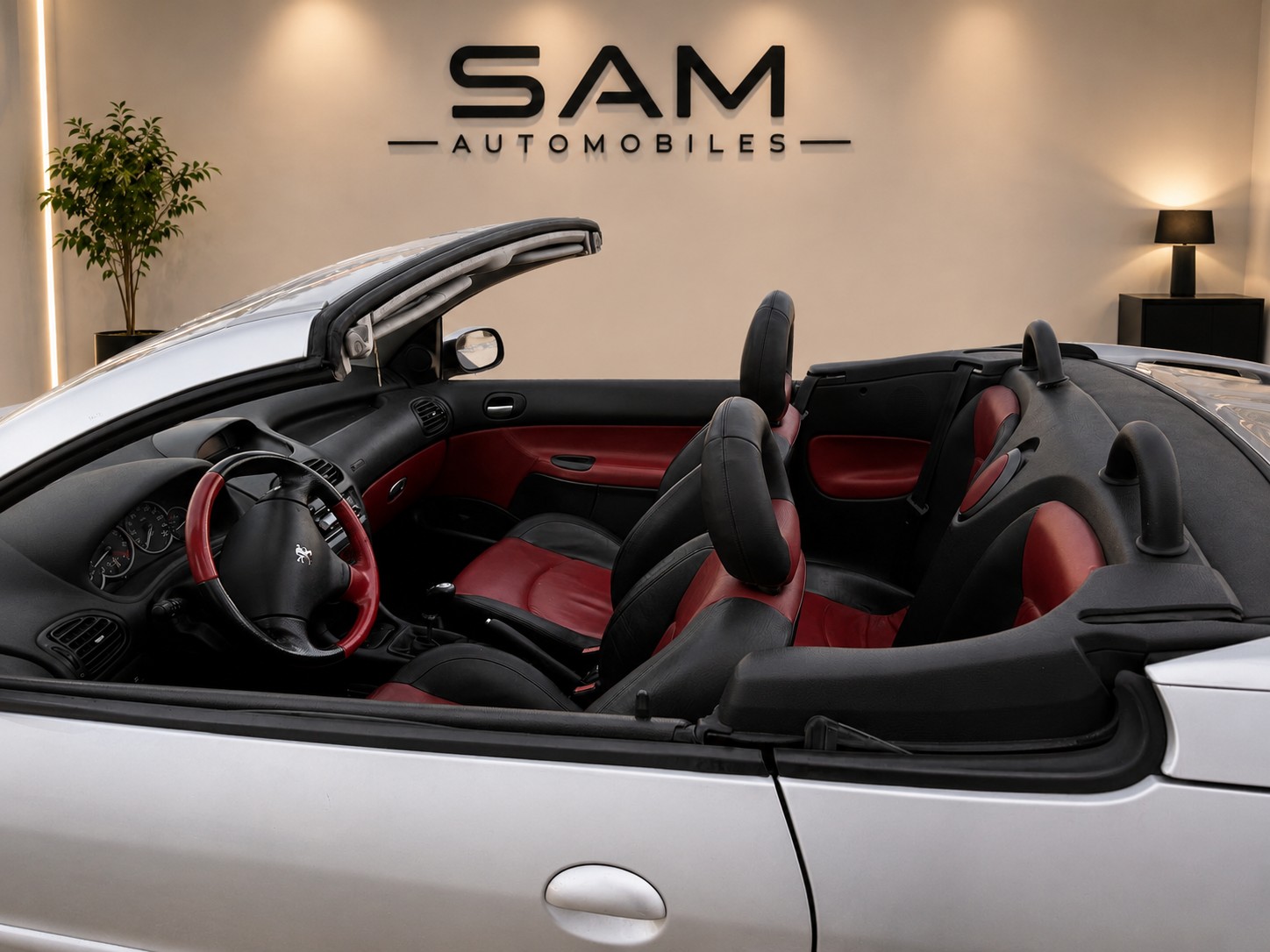 PEUGEOT 206 CC 2.0 16V-image-7