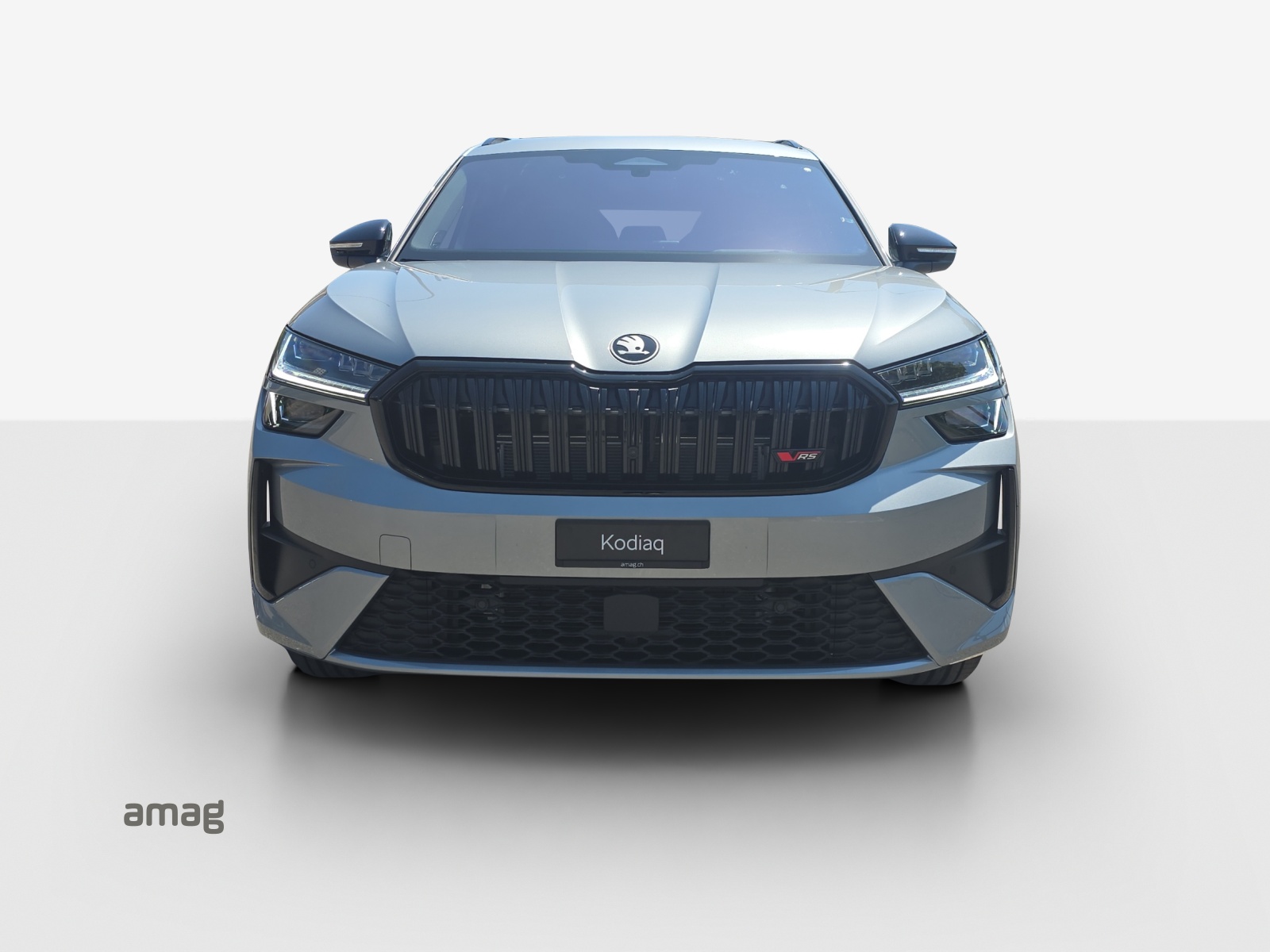 SKODA Skoda Kodiaq RS 265PS 7DSG4x4-image-6
