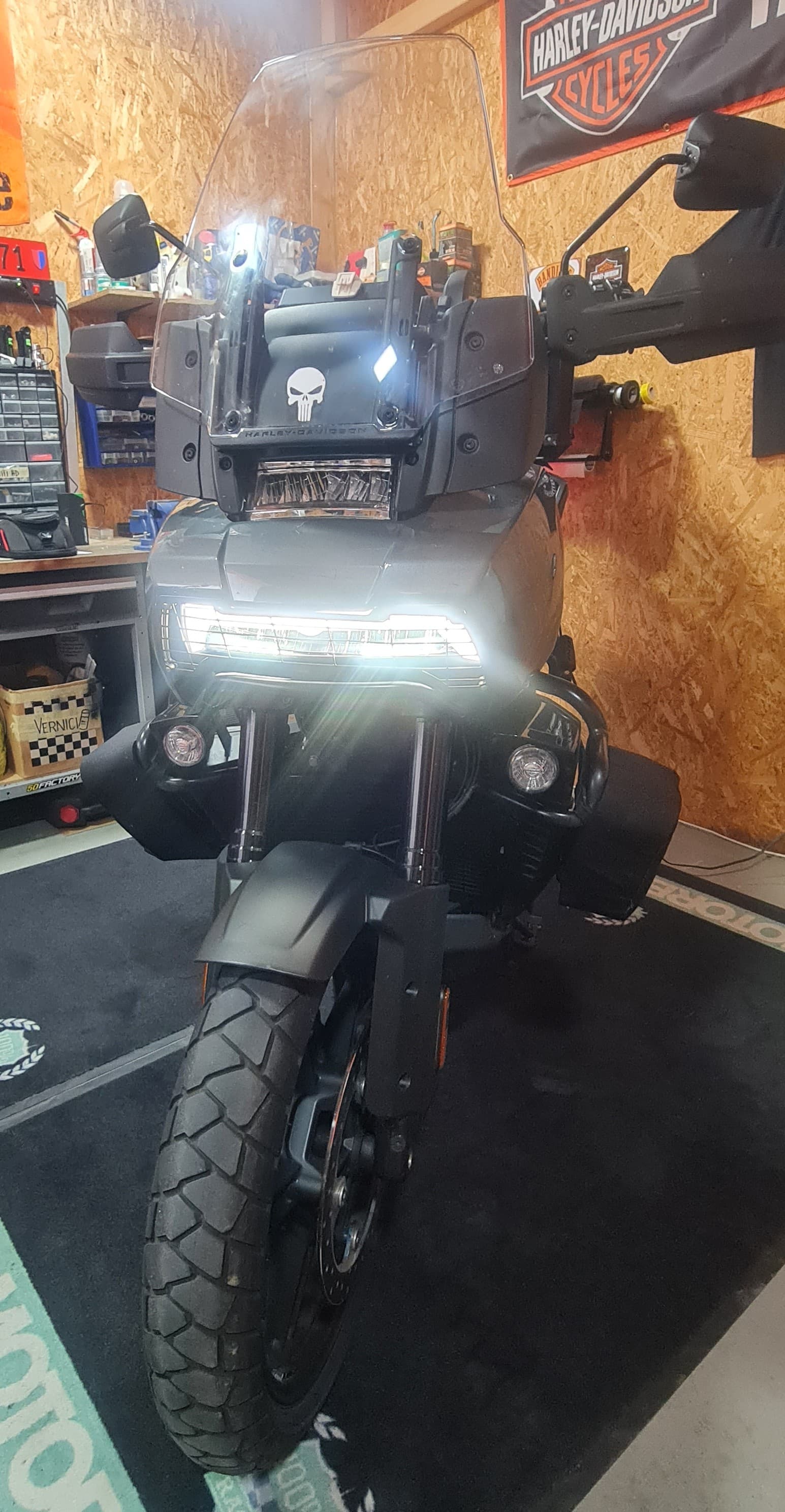 HARLEY-DAVIDSON RA Pan America 1250 Special-image-3