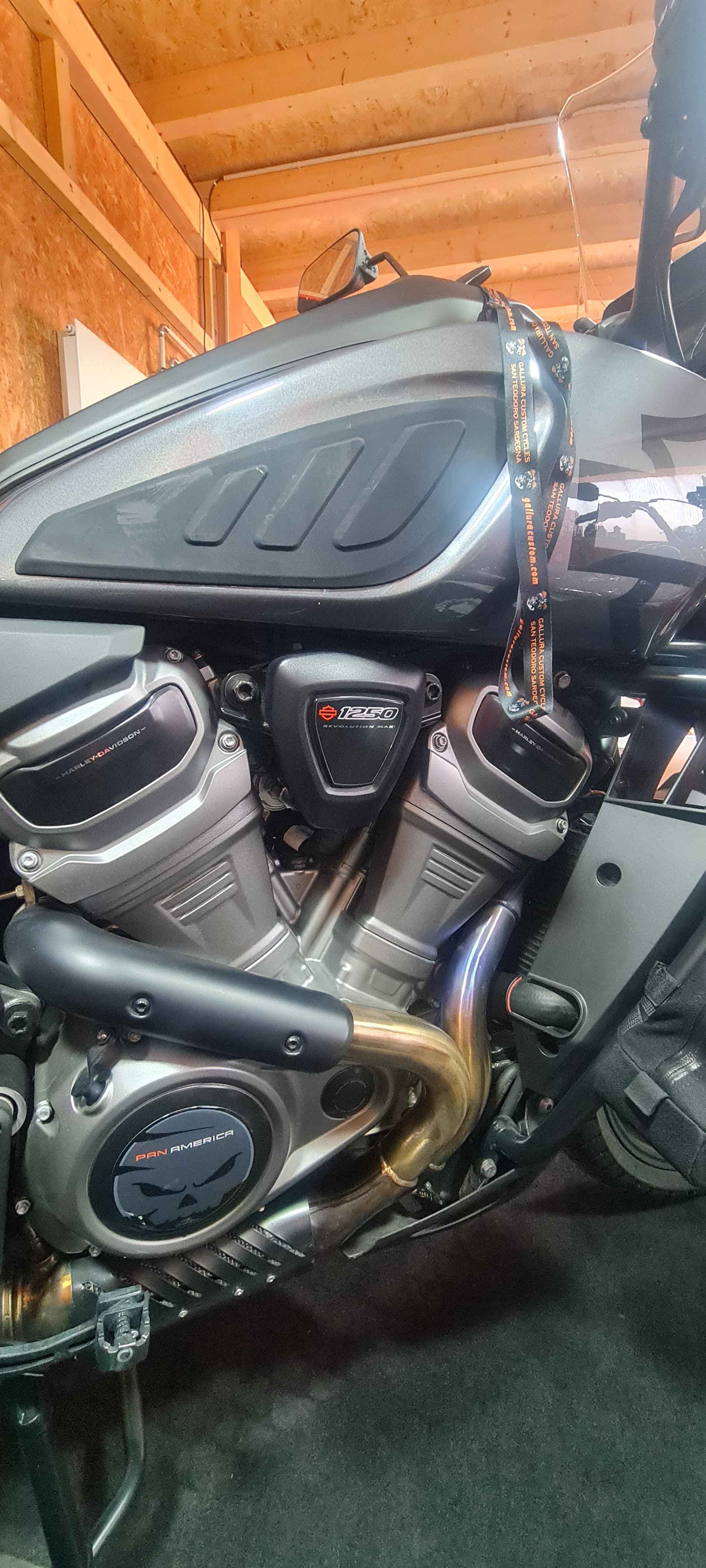HARLEY-DAVIDSON RA Pan America 1250 Special-image-2