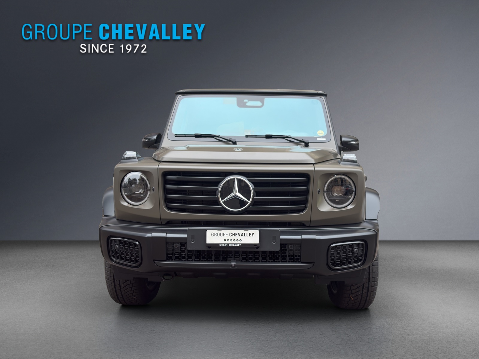 MERCEDES-BENZ G 450d