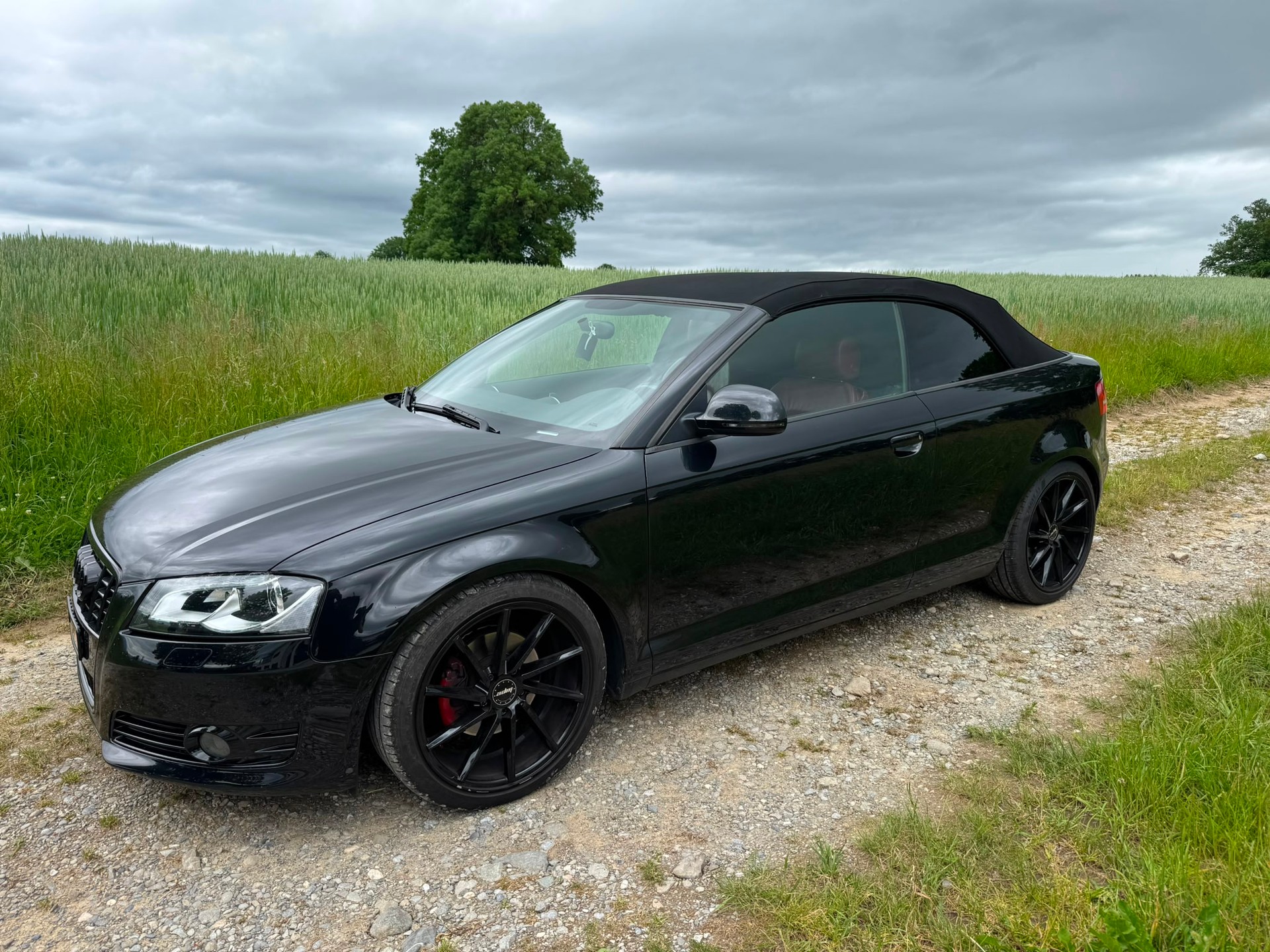 AUDI A3 Cabriolet 2.0 TDI Ambition S-tronic-image-12