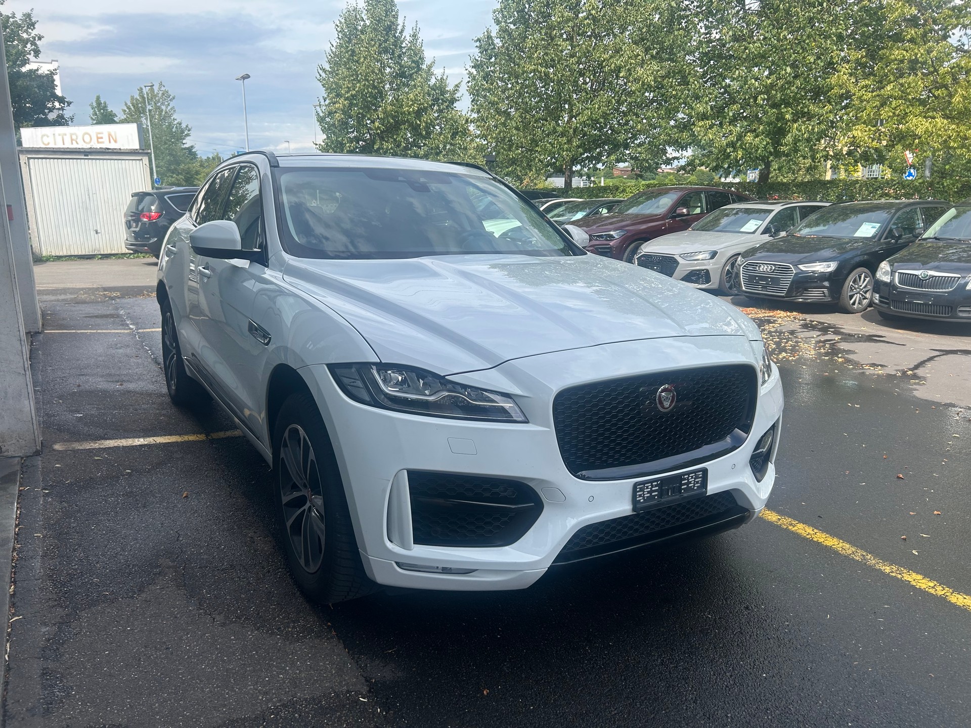 JAGUAR F-Pace 25t 2.0 R-Sport AWD Automatik-image-7