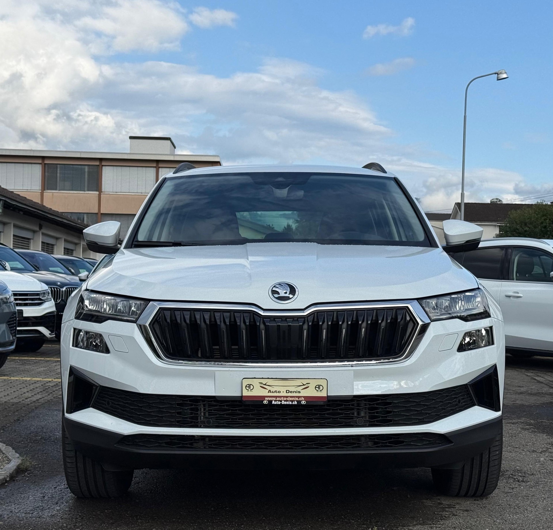 SKODA Karoq 2.0 TDI Ambition 4x4 DSG-showroom-element-1