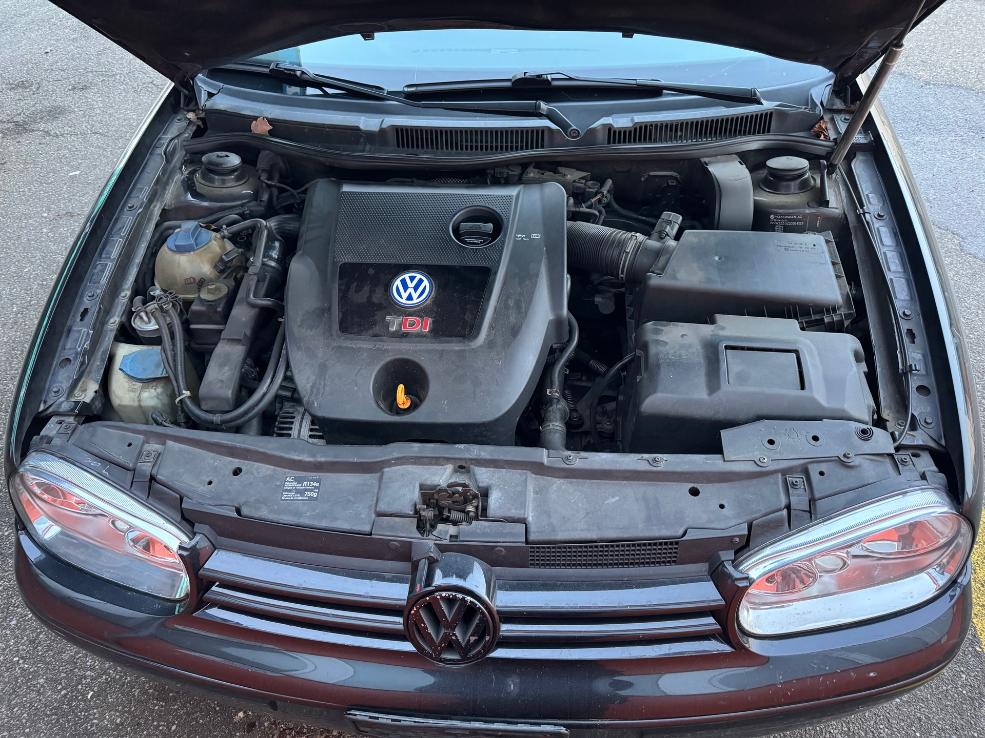 VW Golf 1.9 TDI PD 4Motion-image-4