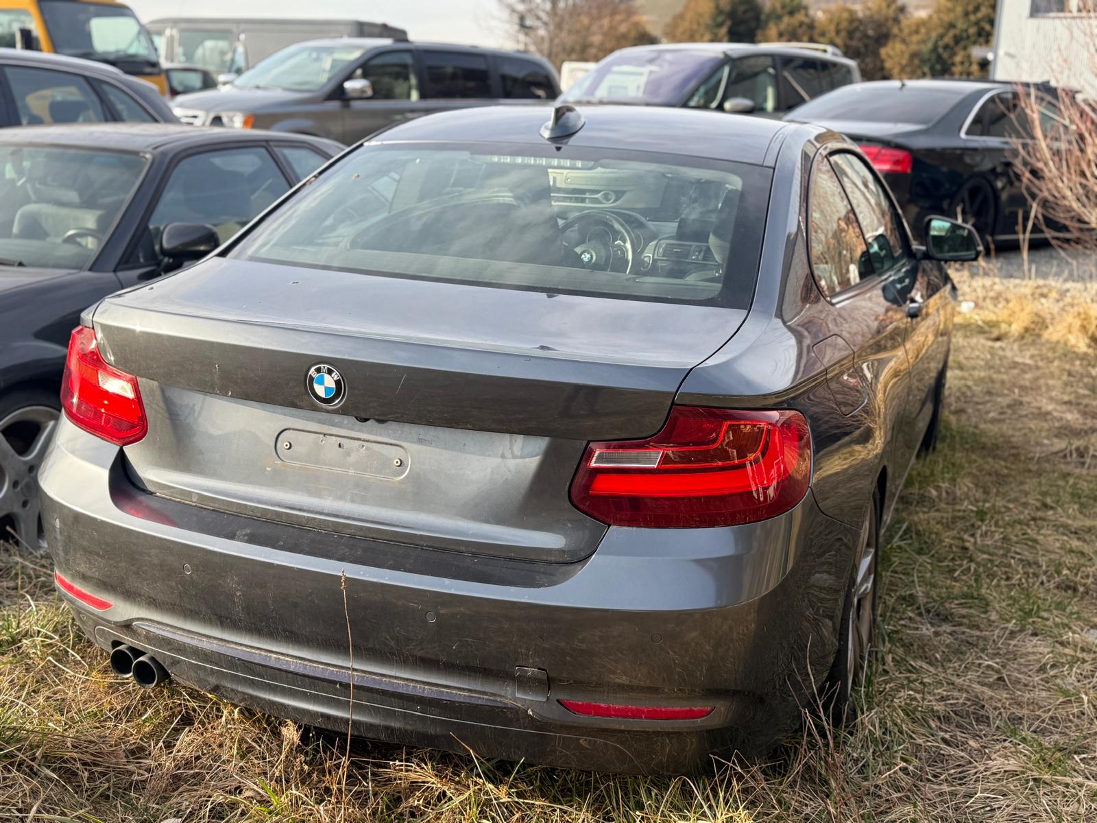 BMW 228i Sport Line Steptronic-image-2