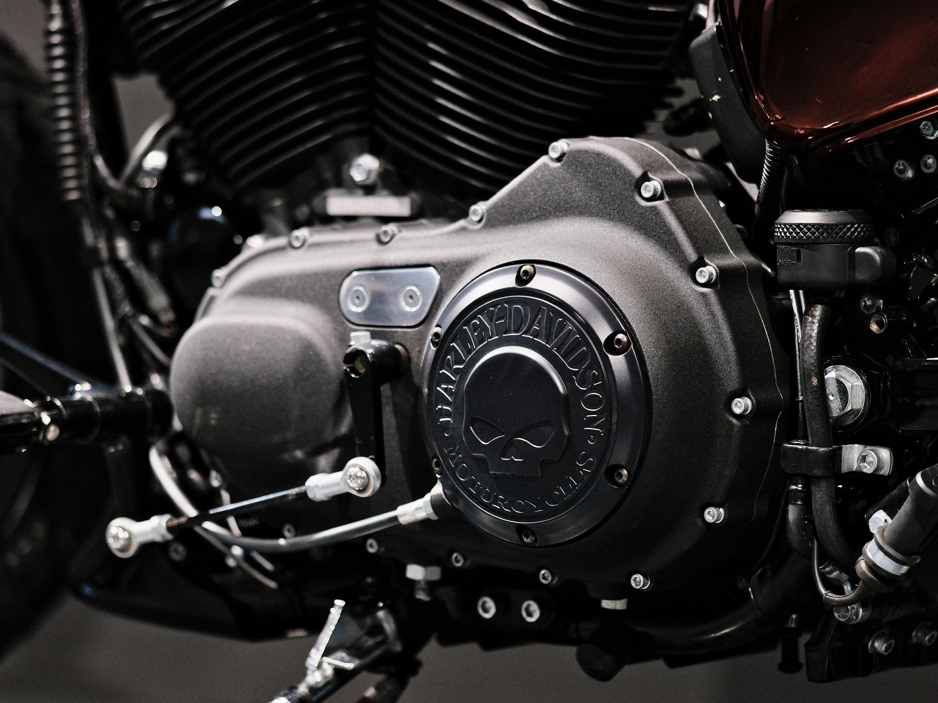 HARLEY-DAVIDSON XL 883 N Sportster Iron-image-13