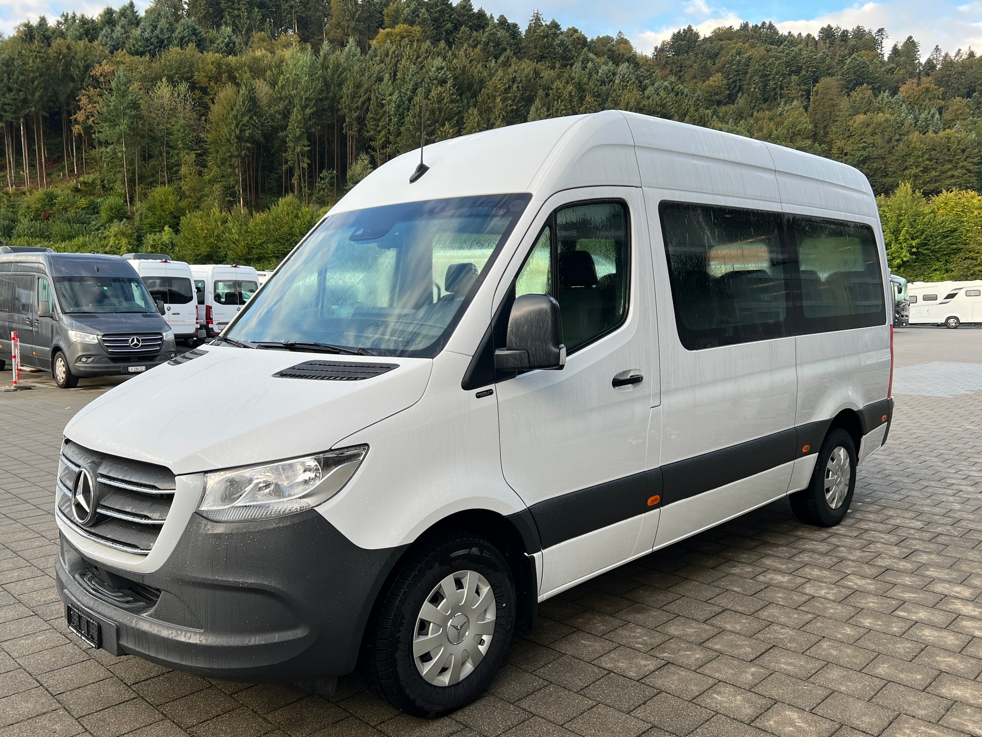 MERCEDES-BENZ Sprinter 317 CDI-image-2