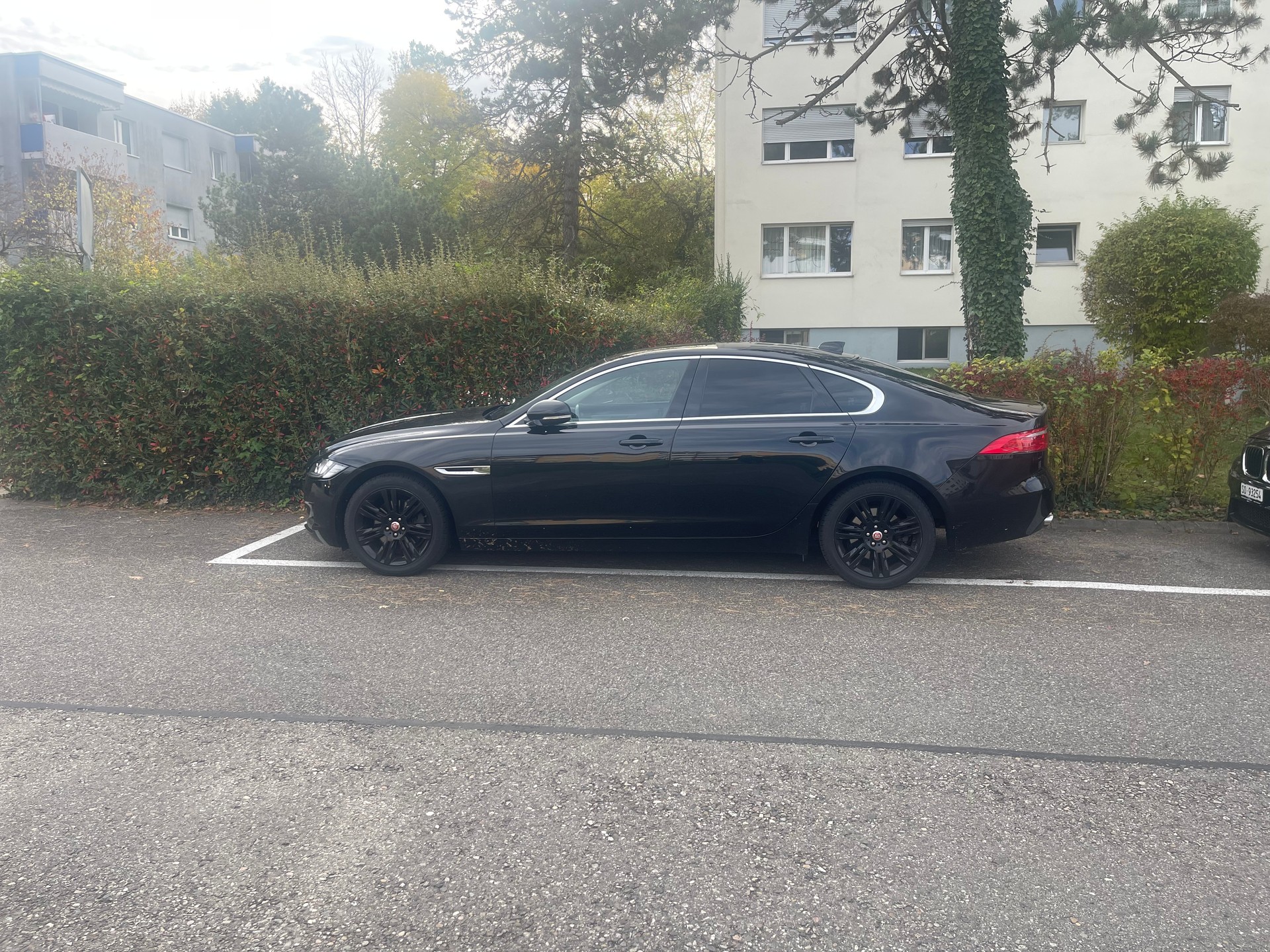 JAGUAR XF 20d Pure Automatic-image-1