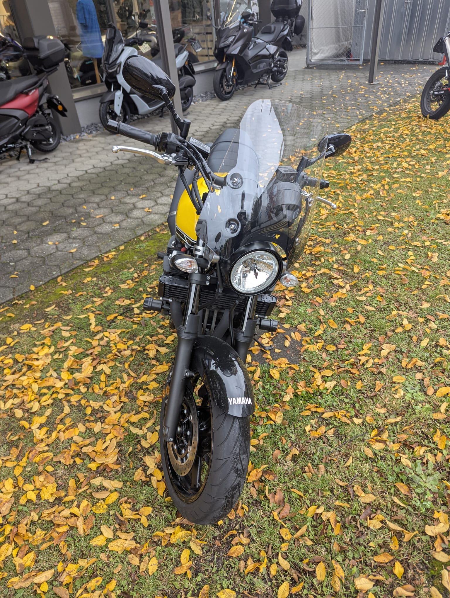 YAMAHA XJR 1300 60 Anniversary-image-3