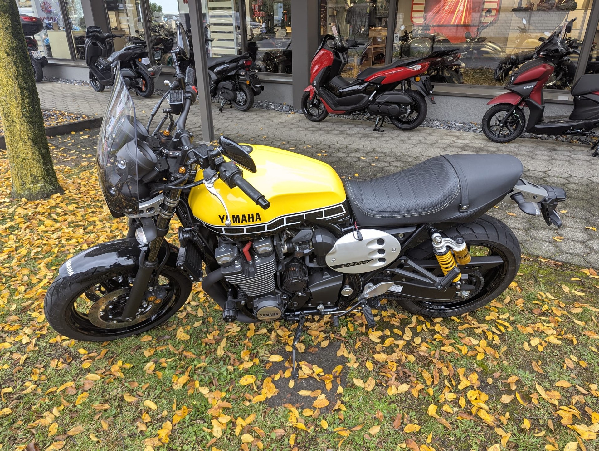 YAMAHA XJR 1300 60 Anniversary-image-1