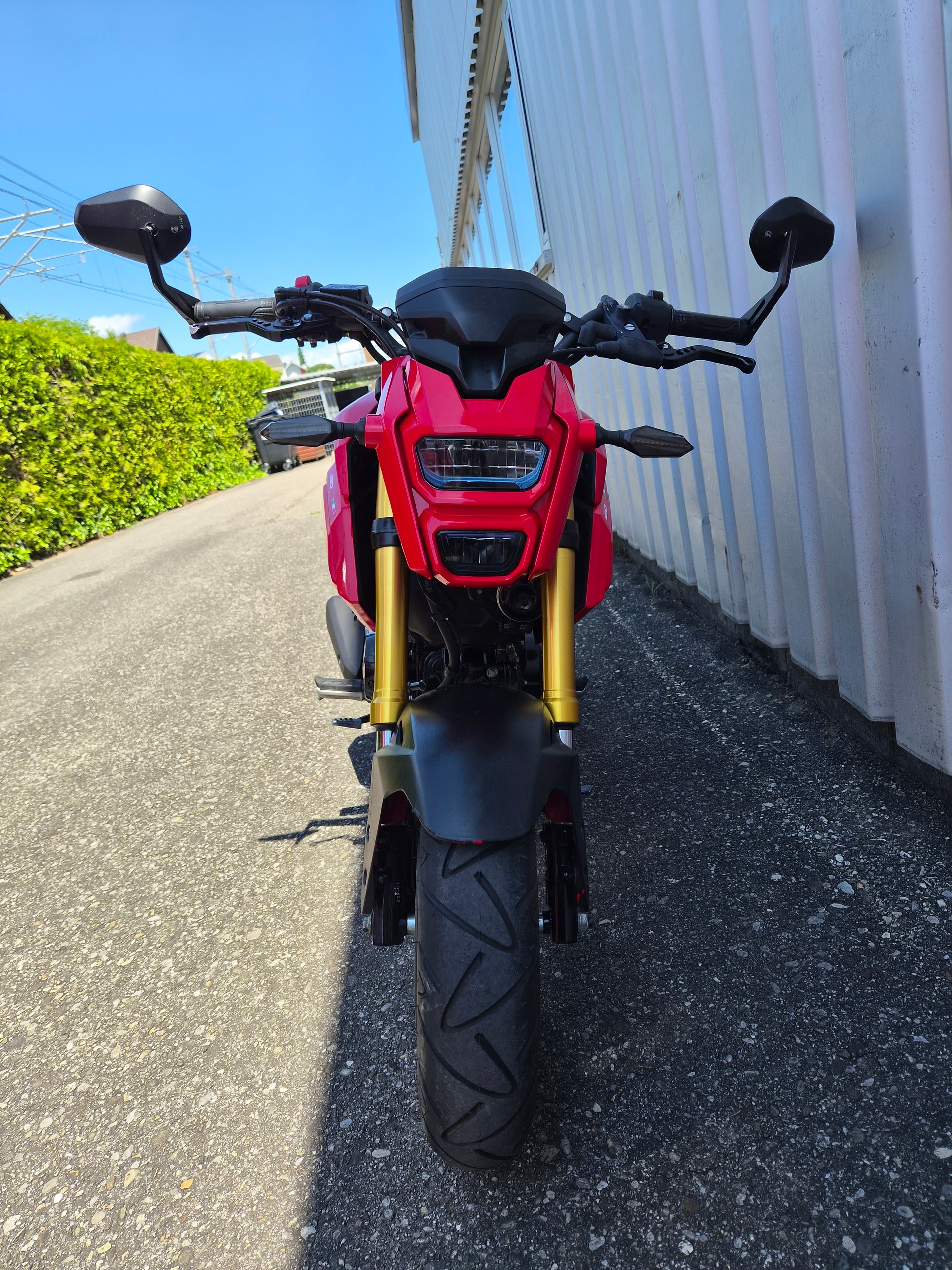 HONDA MSX 125 ABS-image-2
