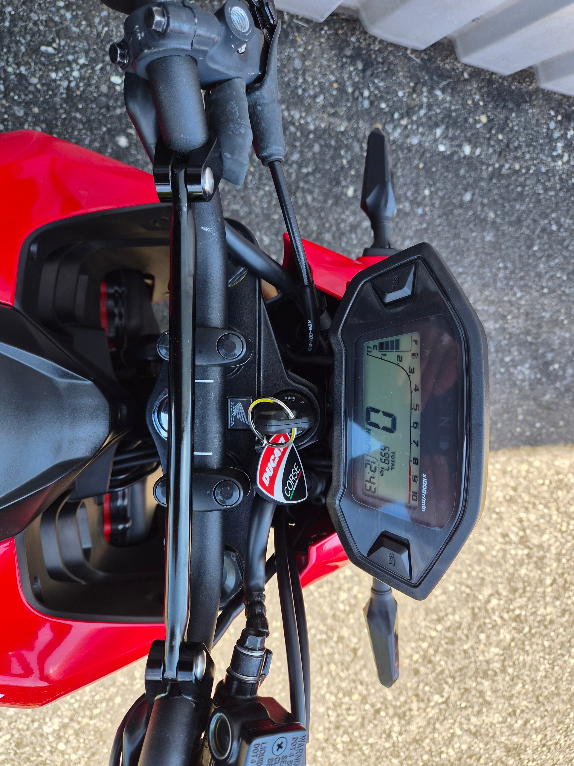 HONDA MSX 125 ABS-image-6