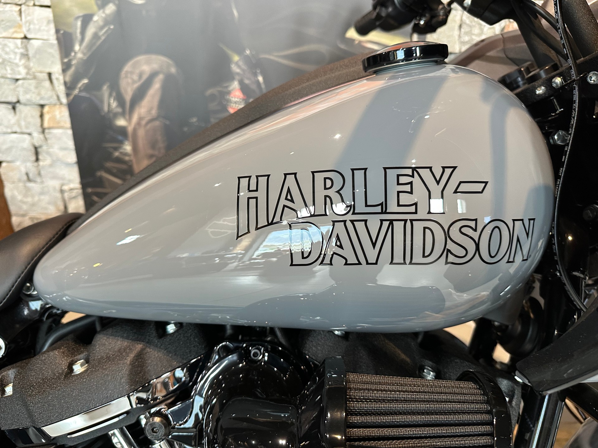 HARLEY-DAVIDSON FXLRST Low Rider ST 117ci-image-4