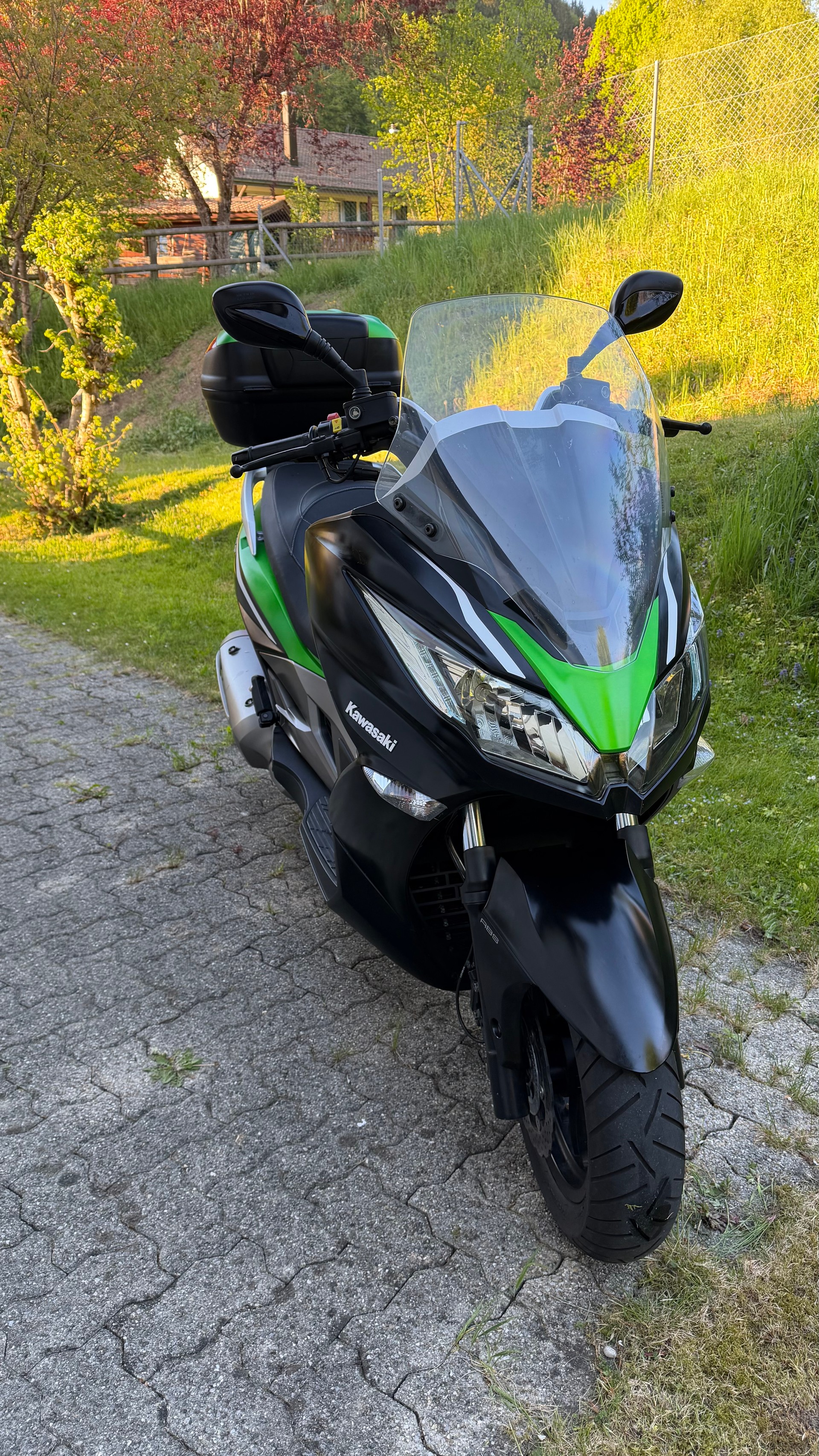 KAWASAKI J 300 SE ABS-image-2
