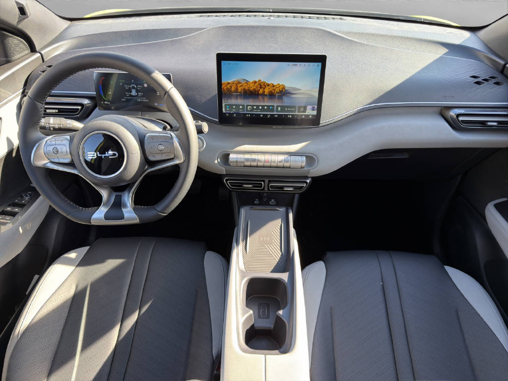 BYD Dolphin Surf Comfort-image-4