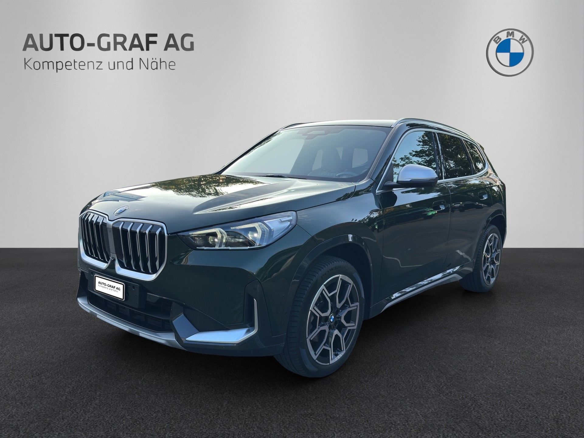 BMW X1 20d xDrive X Line