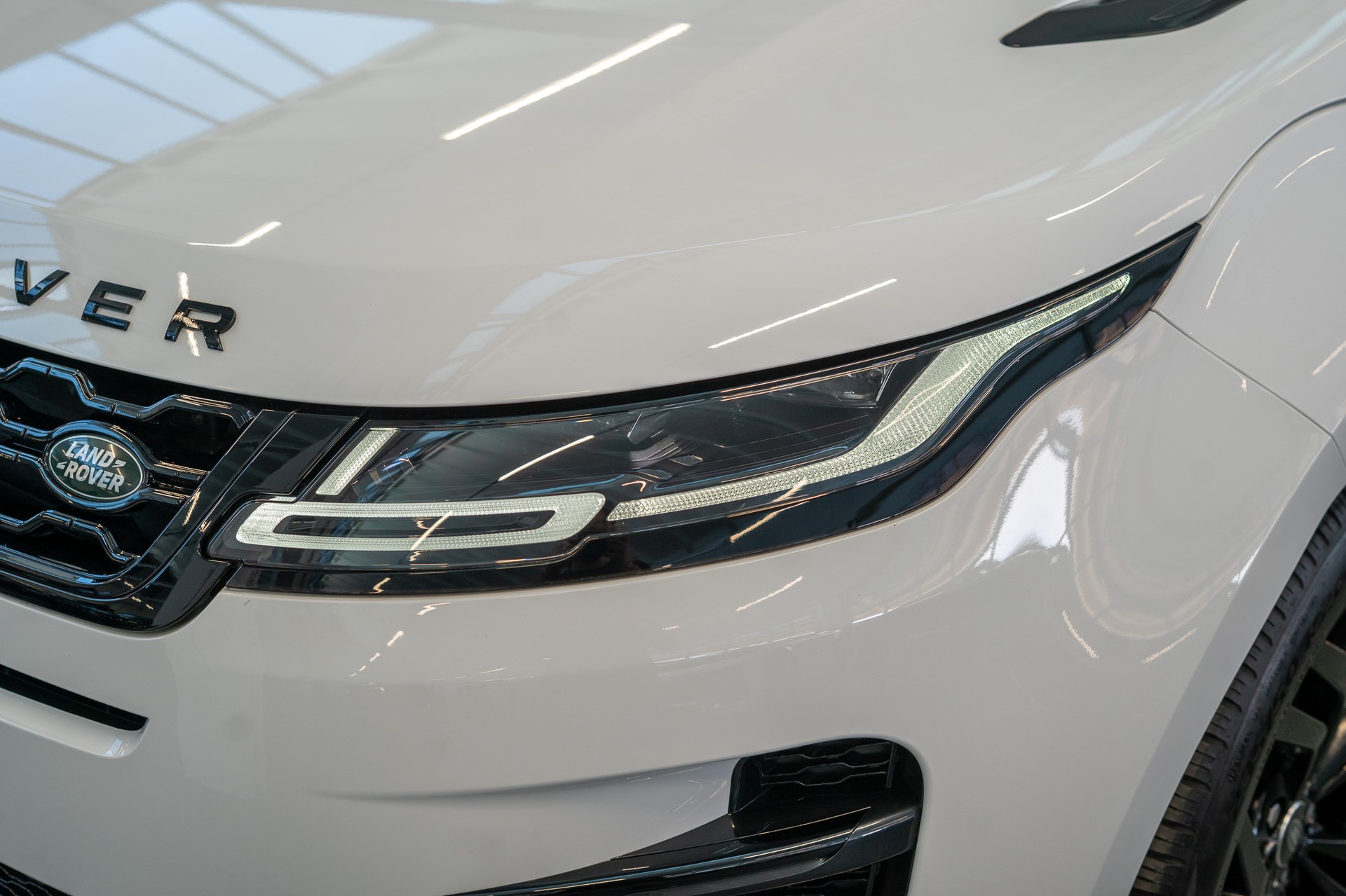 LAND ROVER Range Rover Evoque 2.0 D 165 R-Dynamic SE / Meridian Sound / Rückfahrkamera-image-22