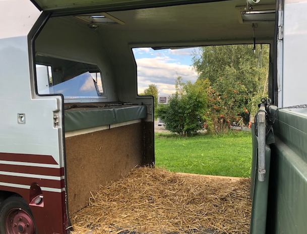 RENAULT Master-showroom-element-1