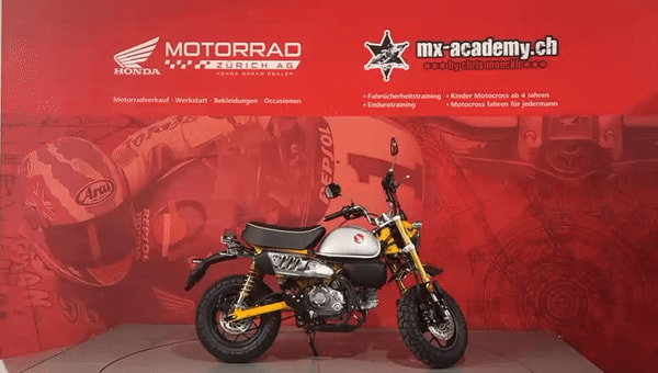 HONDA Z 125 Monkey *Neufahrzeug*-image-0