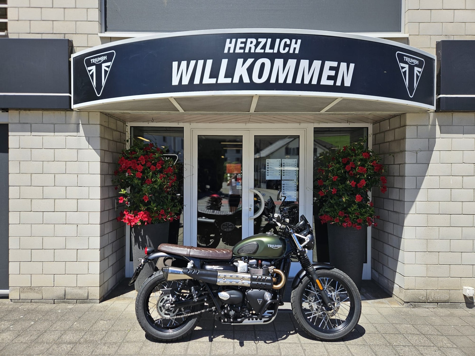 TRIUMPH Street Scrambler 900