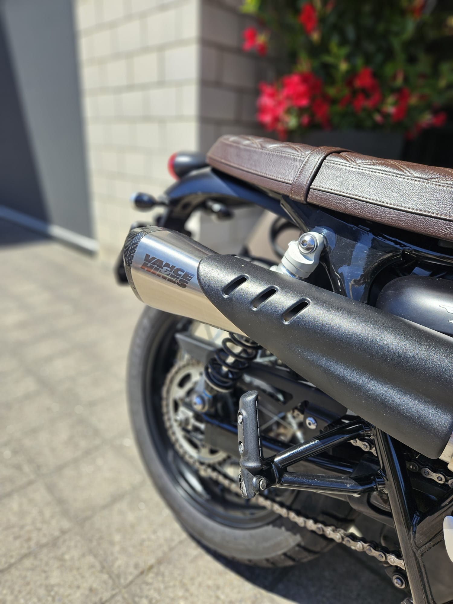 TRIUMPH Street Scrambler 900-image-7