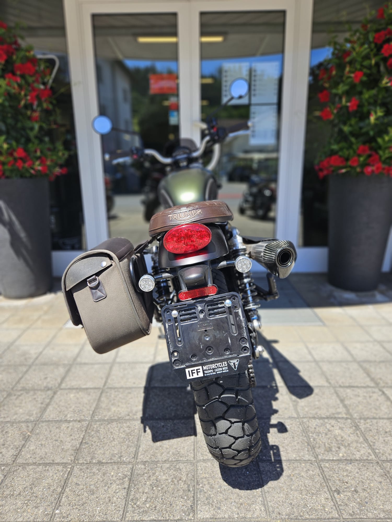 TRIUMPH Street Scrambler 900-image-6