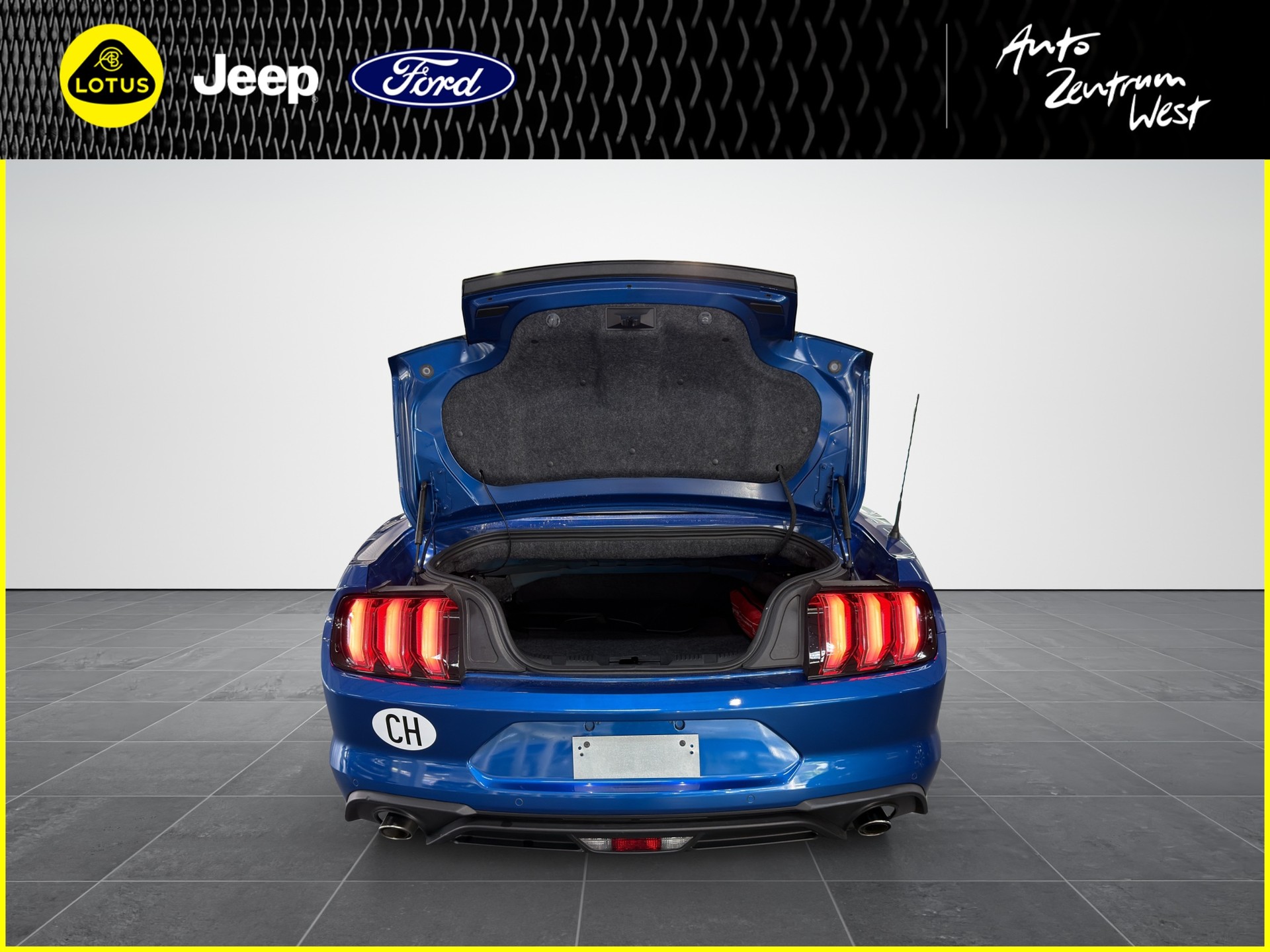 FORD Mustang Convertible 2.3-image-13