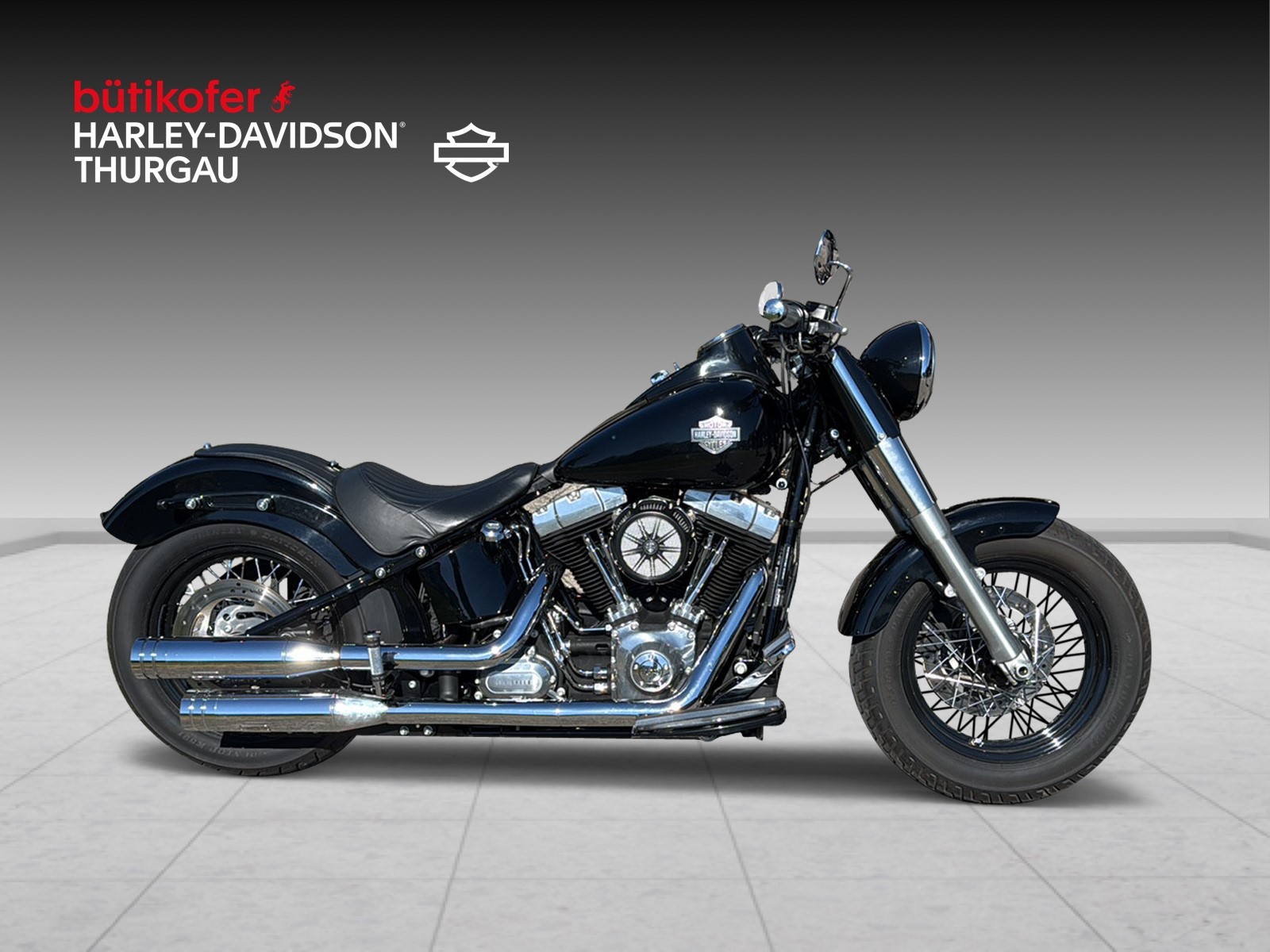 HARLEY-DAVIDSON FLS Softail Slim ABS-image-1