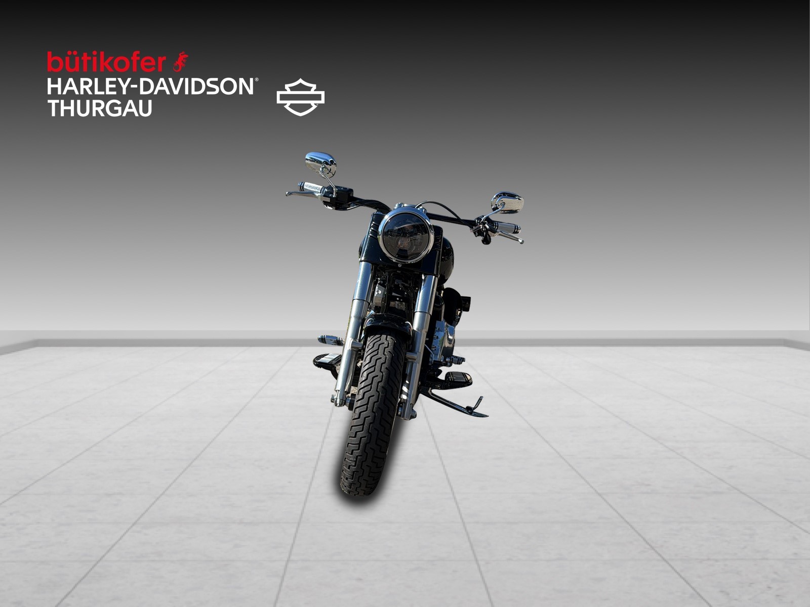 HARLEY-DAVIDSON FLS Softail Slim ABS-image-6