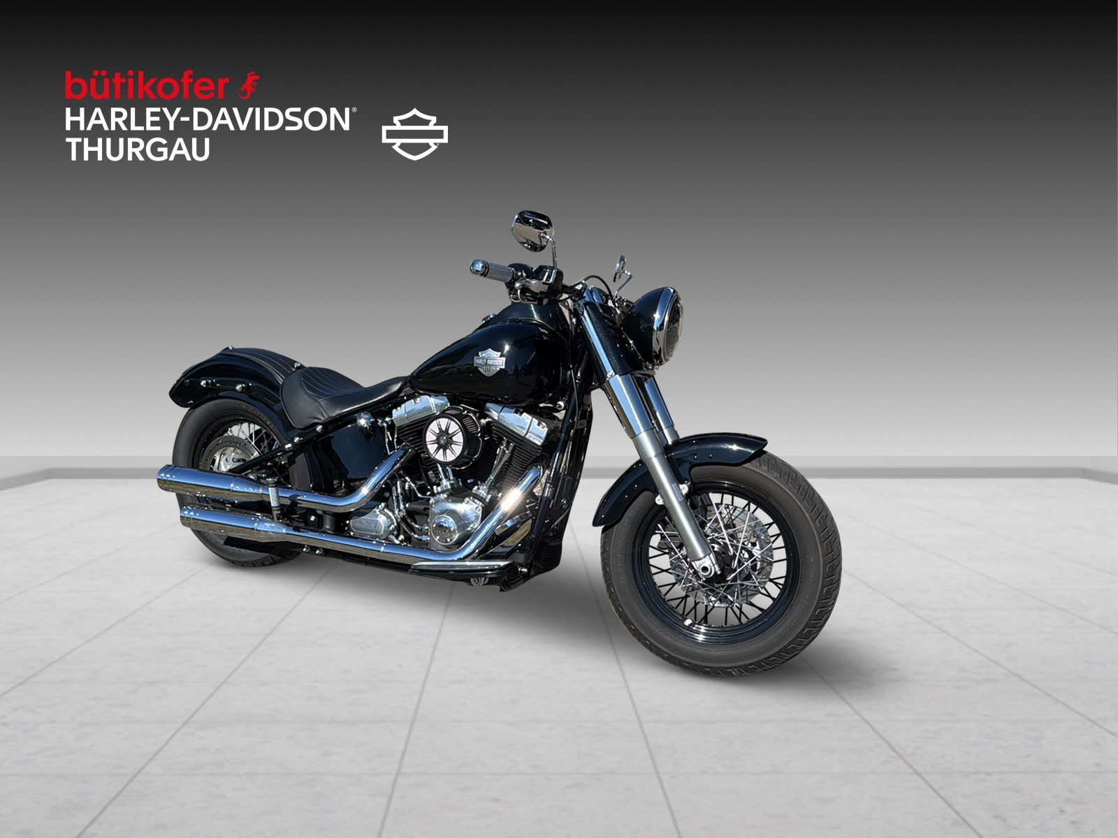 HARLEY-DAVIDSON FLS Softail Slim ABS-image-0