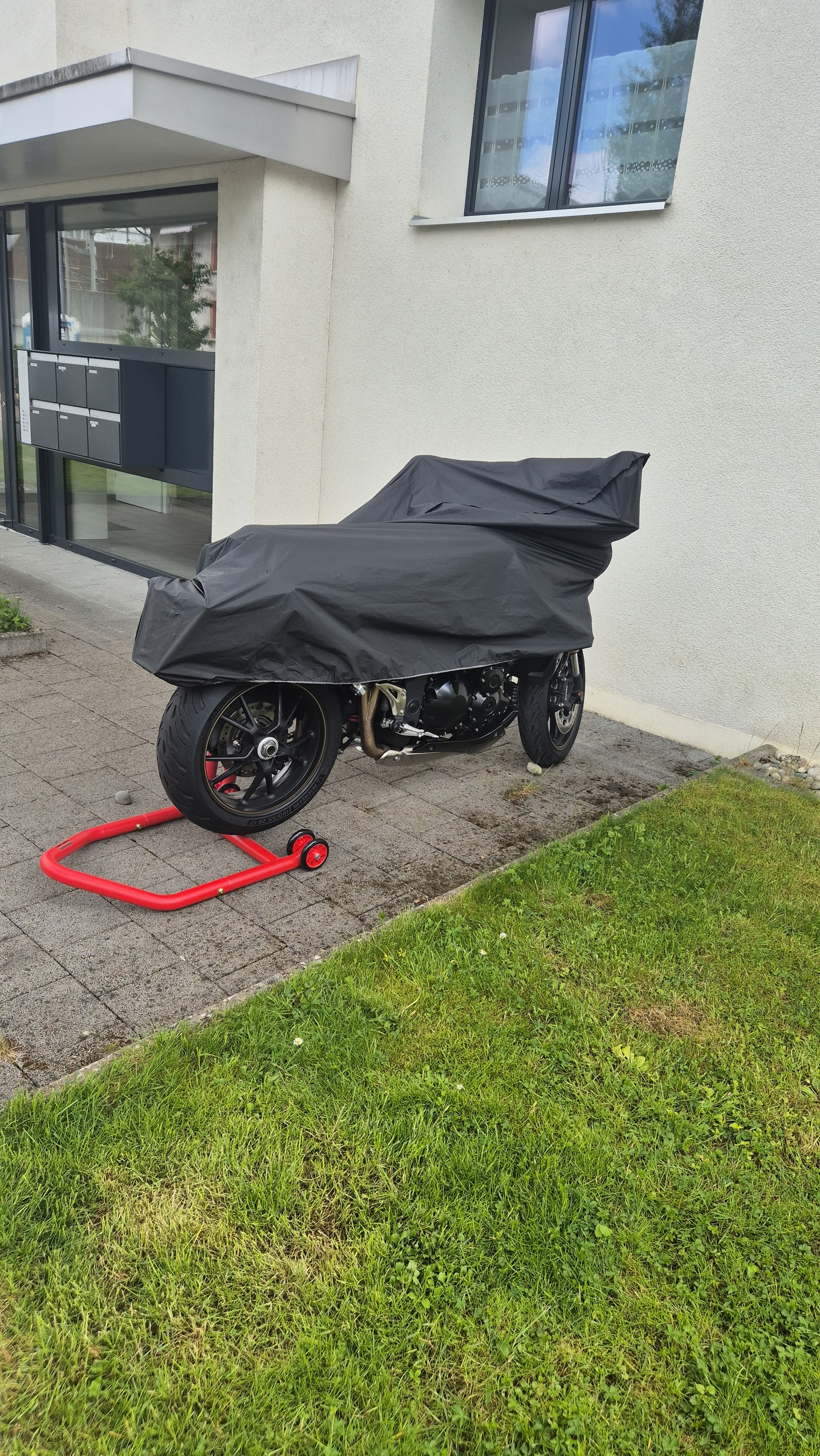 TRIUMPH Speed Triple-image-3