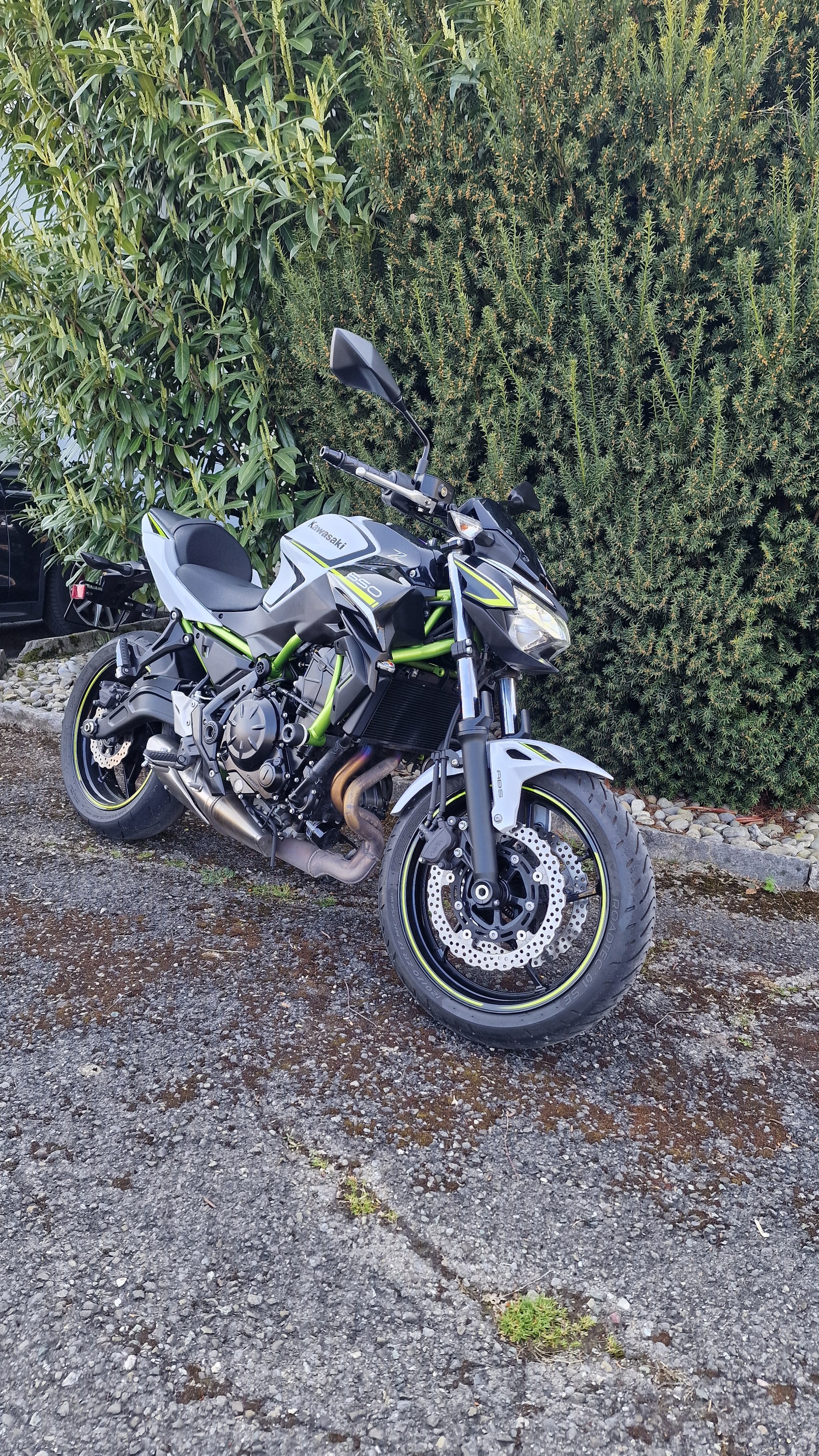 KAWASAKI Z 650-image-4