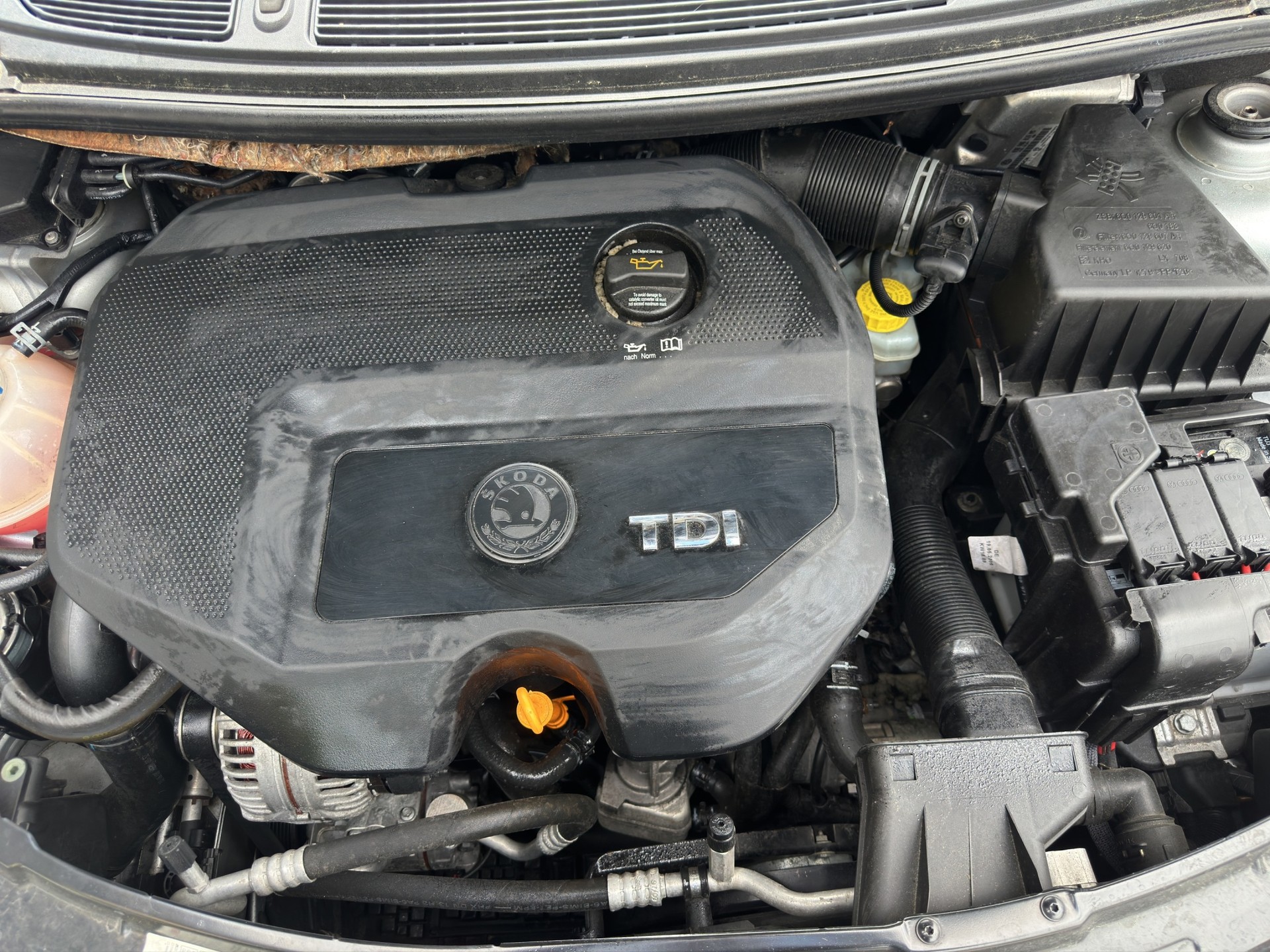 SKODA Fabia 1.9 TDI Ambiente-image-12