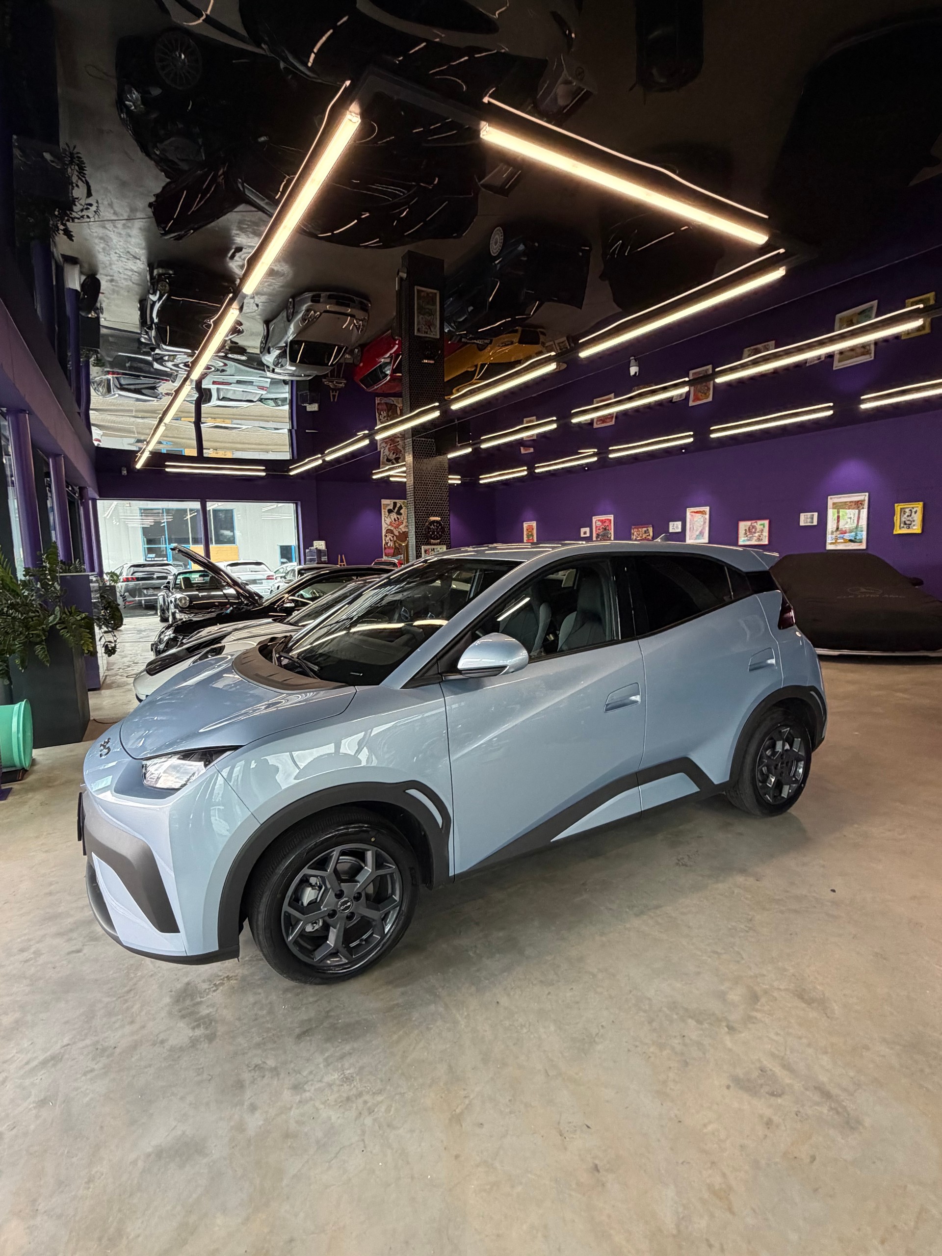 BYD DOLPHIN SURF
