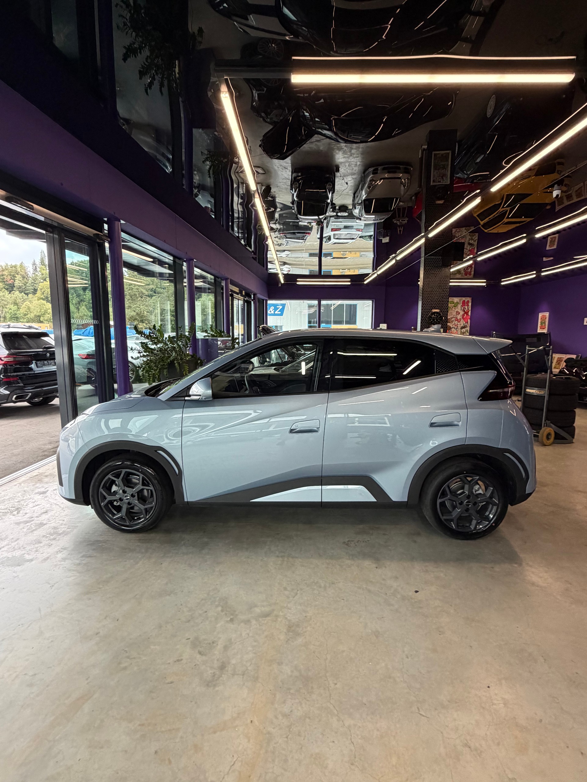 BYD DOLPHIN SURF-showroom-element-2