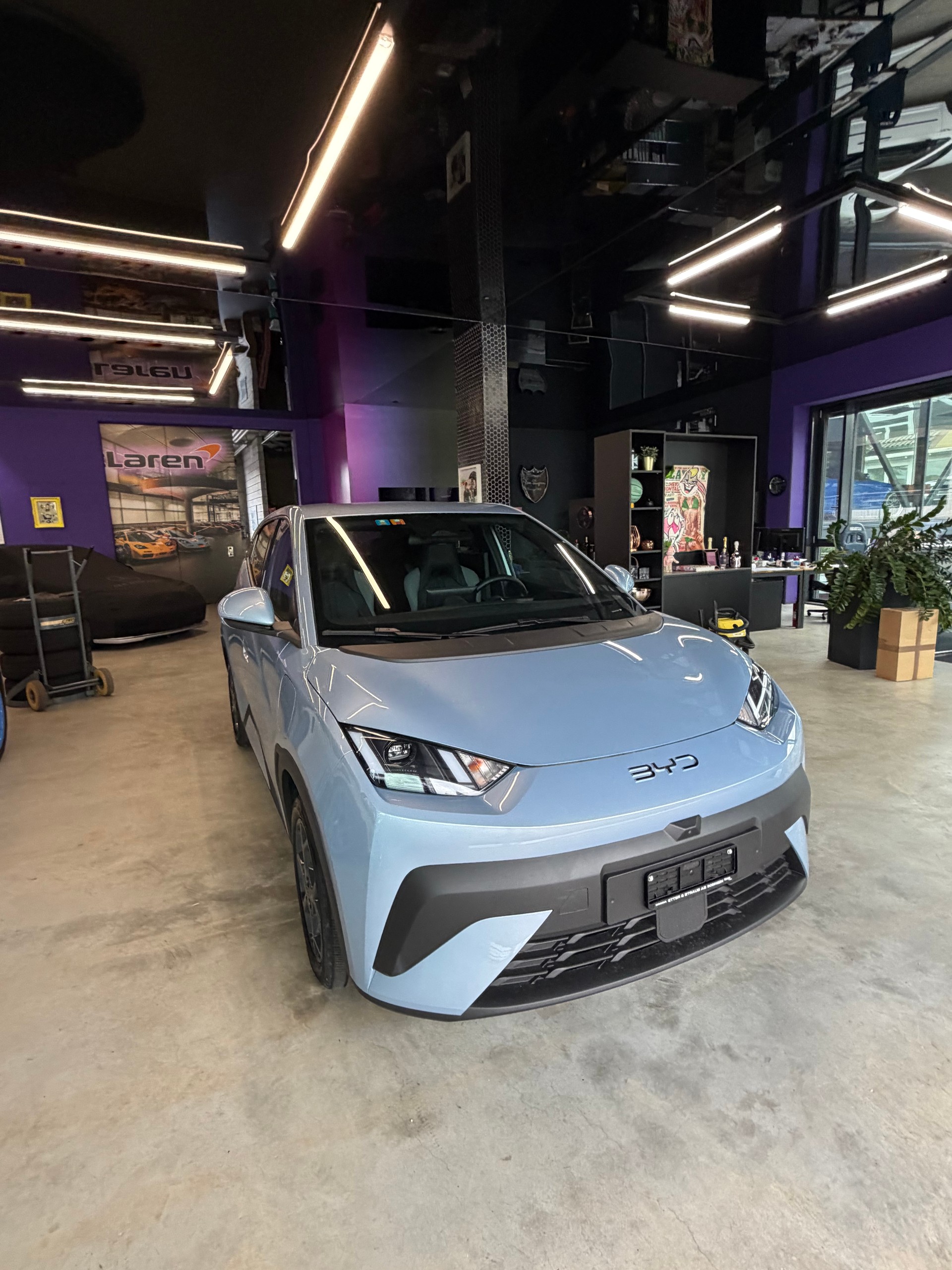 BYD DOLPHIN SURF-showroom-element-3
