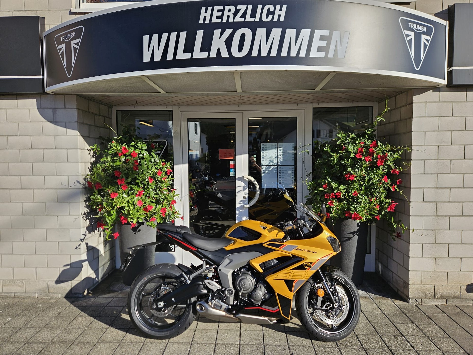 TRIUMPH Daytona 660-image-0