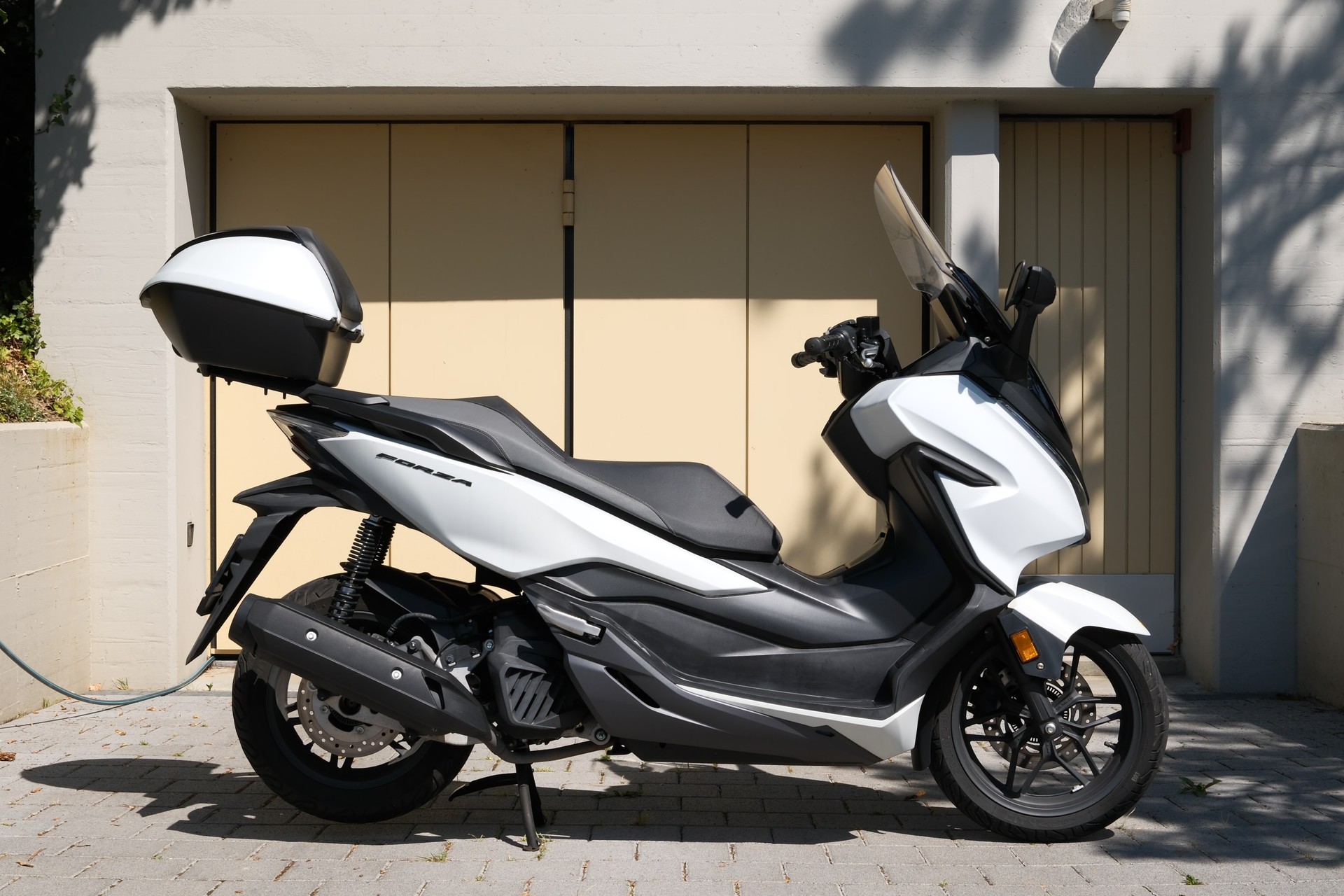 HONDA Nss 125 Forza ABS-image-6