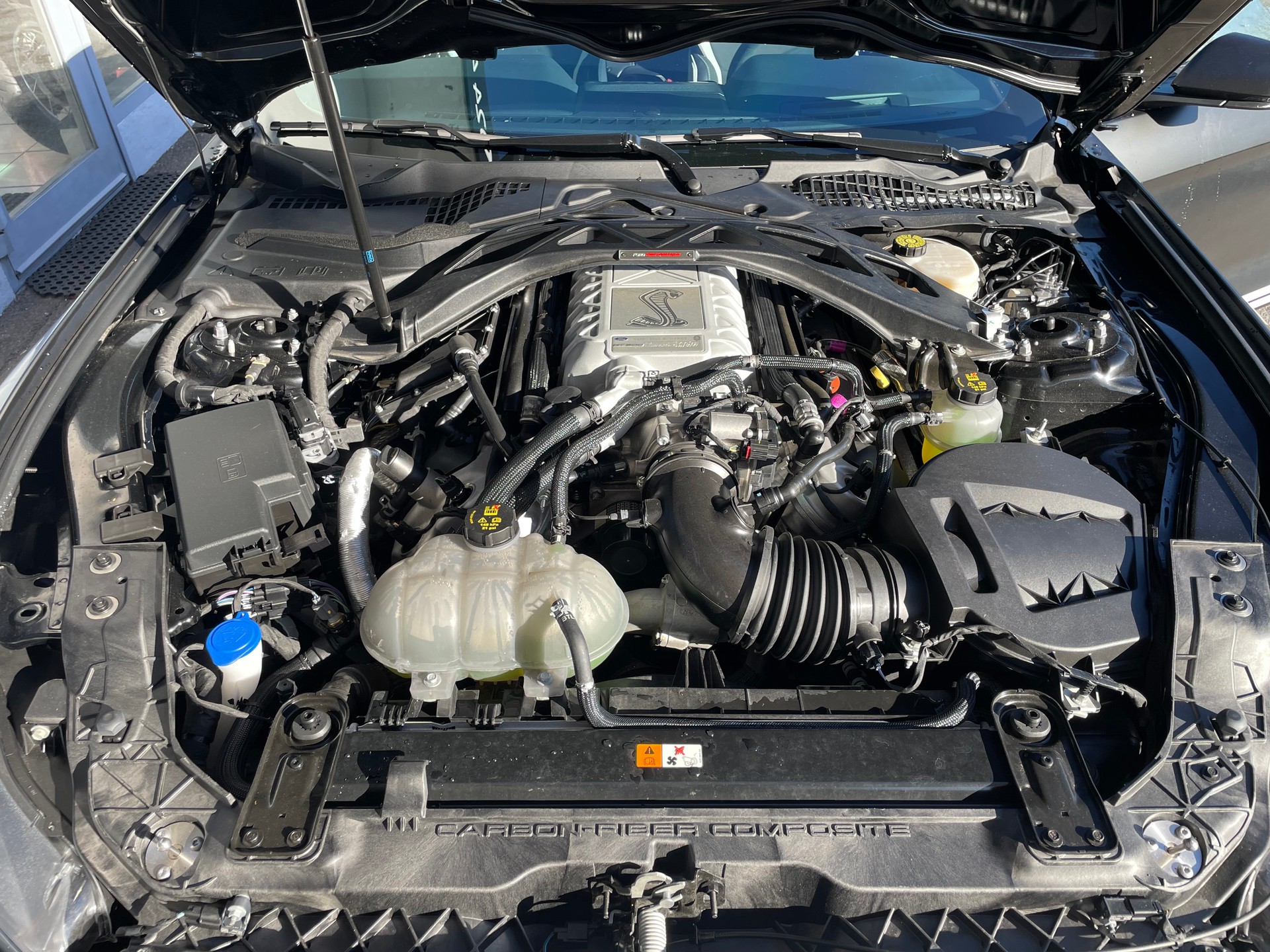 FORD SHELBY GT500 RECARO-image-6