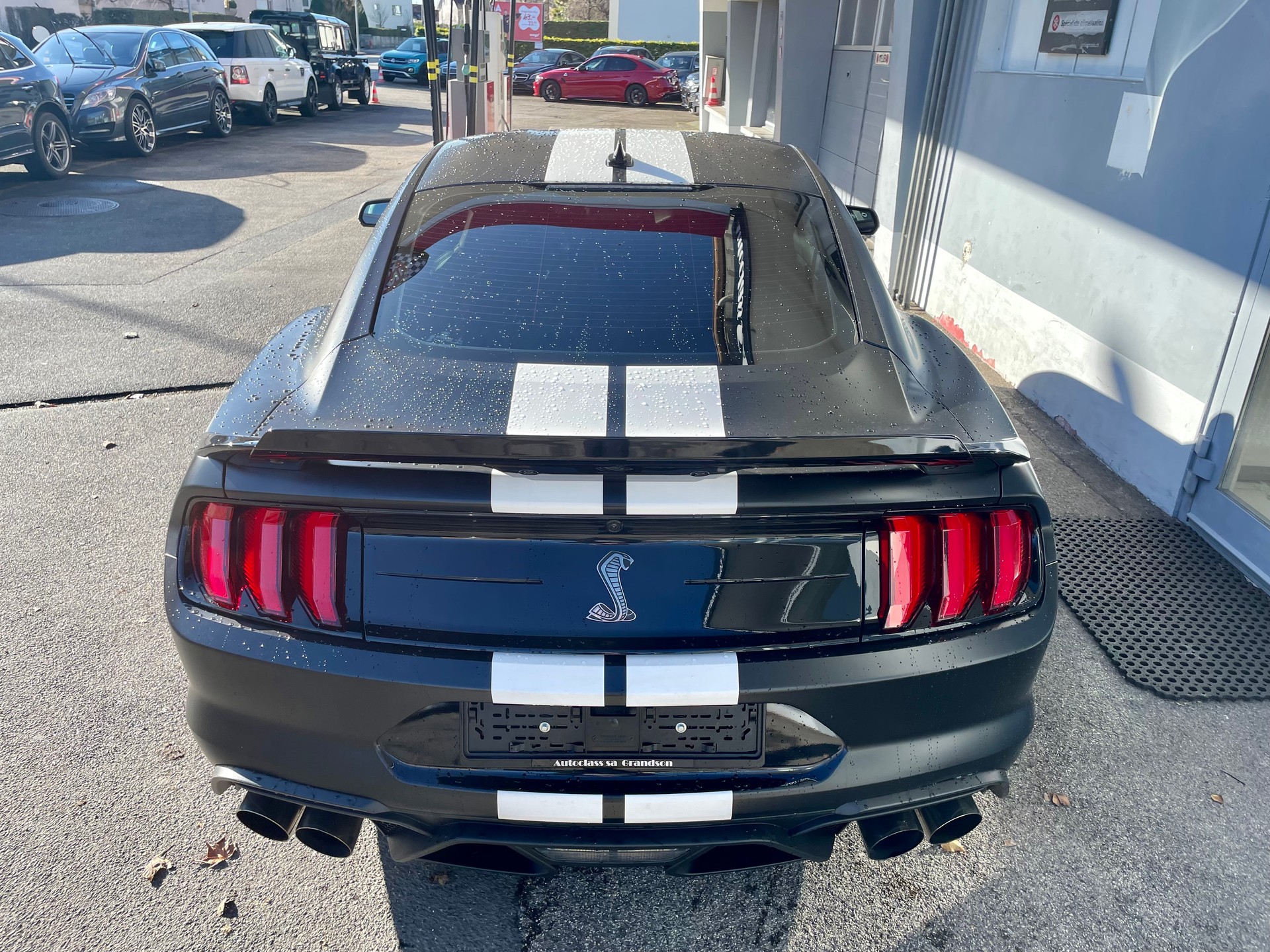 FORD SHELBY GT500 RECARO-showroom-element-3