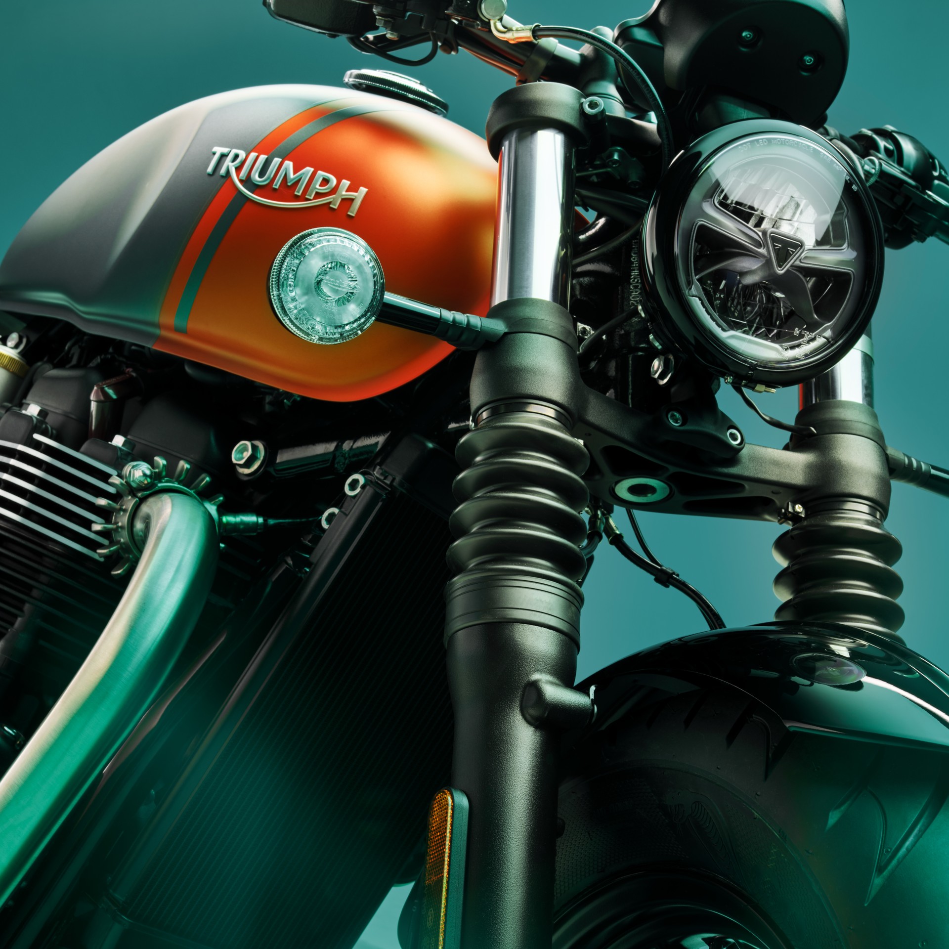 TRIUMPH Bonneville 1200 Bobber-image-2