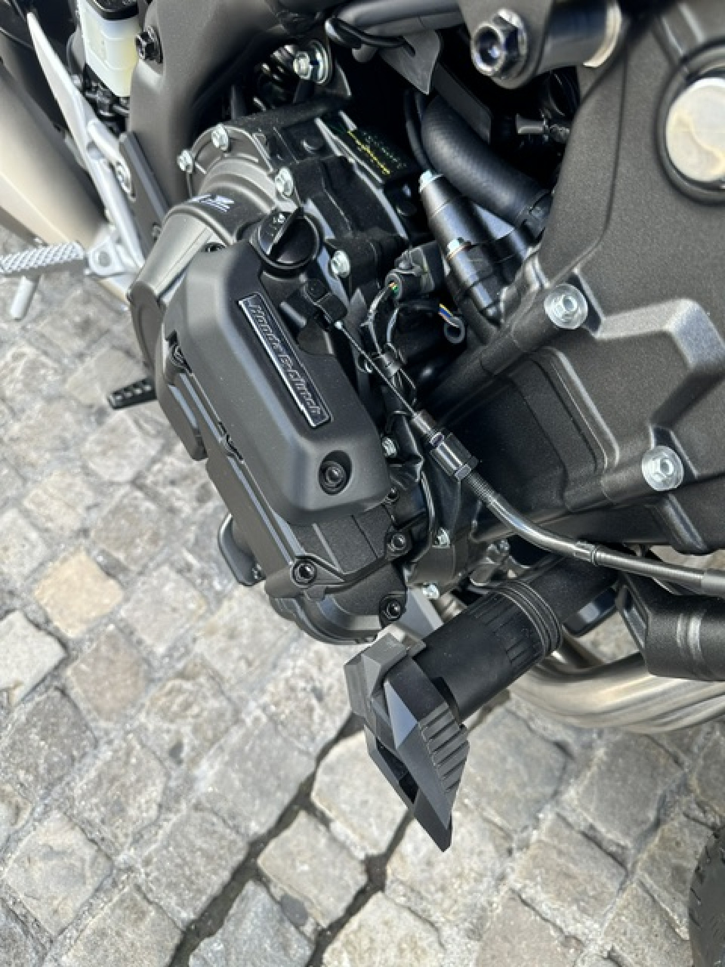 HONDA CB 500 Hornet E-Clutch Modell 2026-image-1