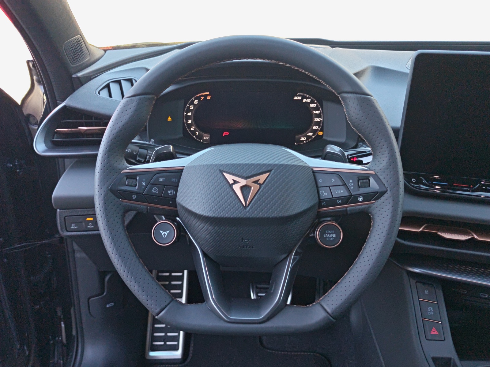CUPRA Terramar 2.0 TSI DSG 4Drive-image-9