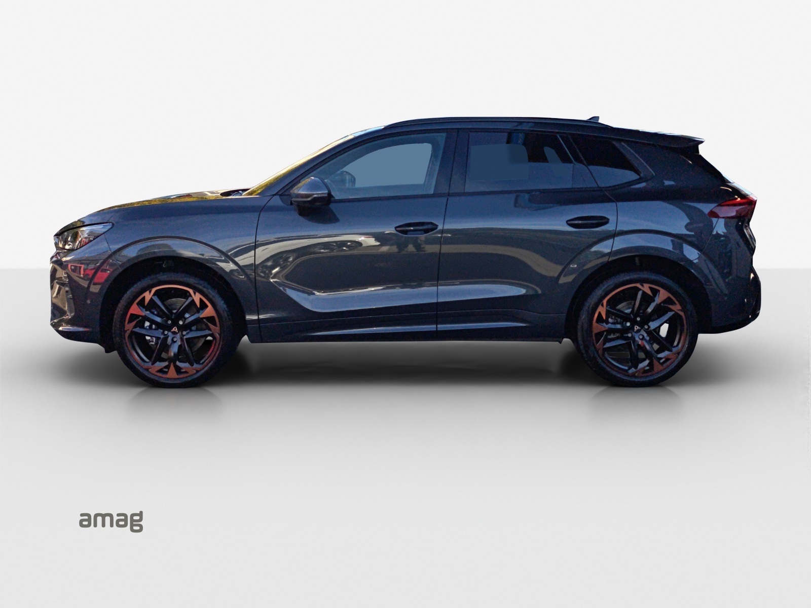 CUPRA Terramar 2.0 TSI DSG 4Drive-showroom-element-1